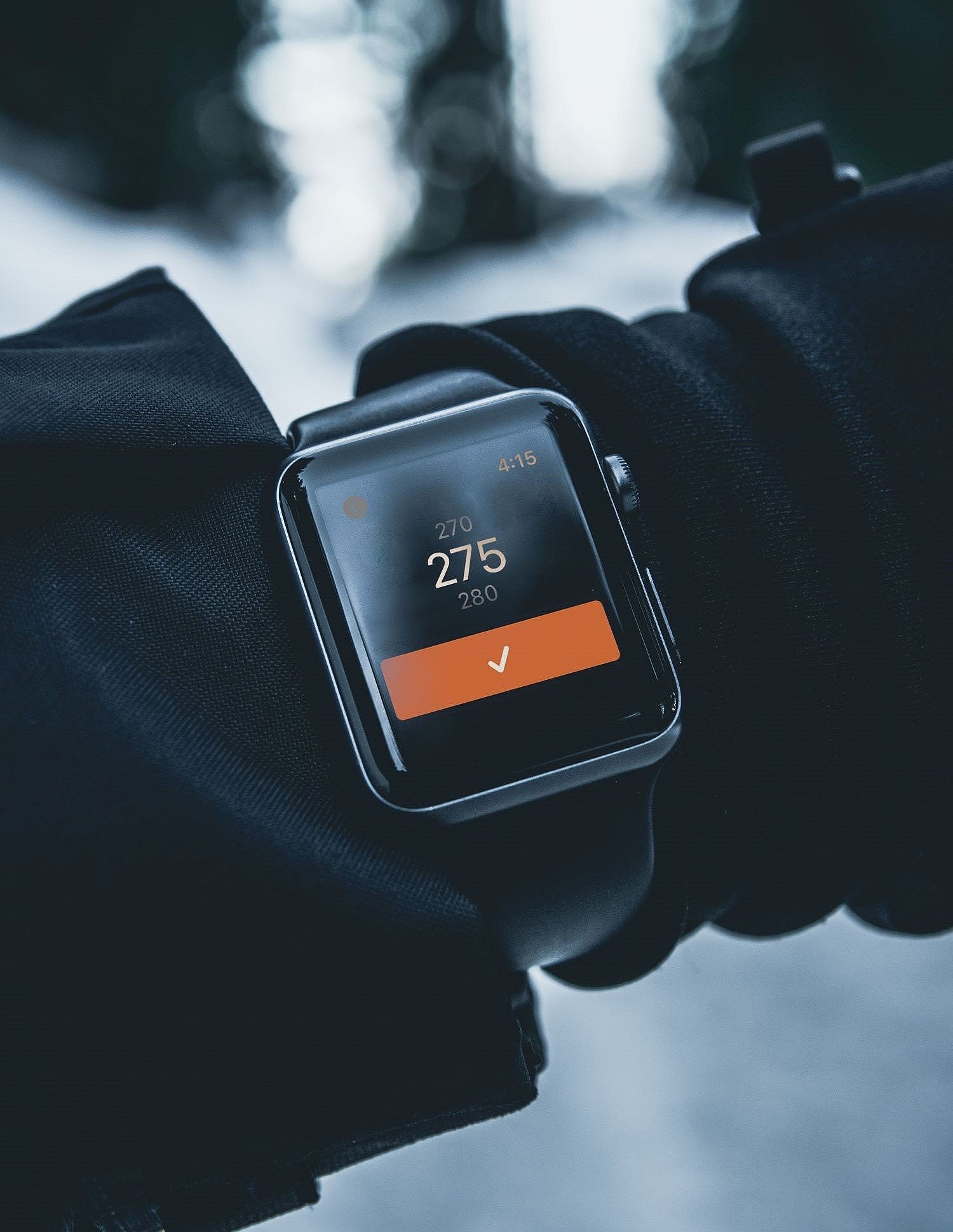 Traeger Apple Watch App  (2)