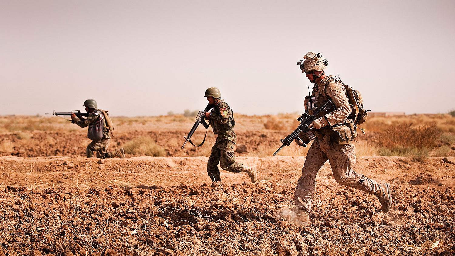 Firefight Firefight - Sgt. Charles Schneider, a squad leader with India Company, 3rd Battalion, 3rd Marine Regiment, and Afghan National Army soldiers from the 1st Kandak, 1st Brigade, 215th Corps, bound toward a road in Trek Nawa, Afghanistan, to move into a support position for squads in a firefight during Operation Black Tip, Oct. 14, 2010. Black Tip was a one-day clearing operation to disrupt enemy activity, during which the Marines and Afghan soldiers detained four men suspected of combatant activity and removed a weapons cache from the area. Schneider is from Flagstaff, Ariz.