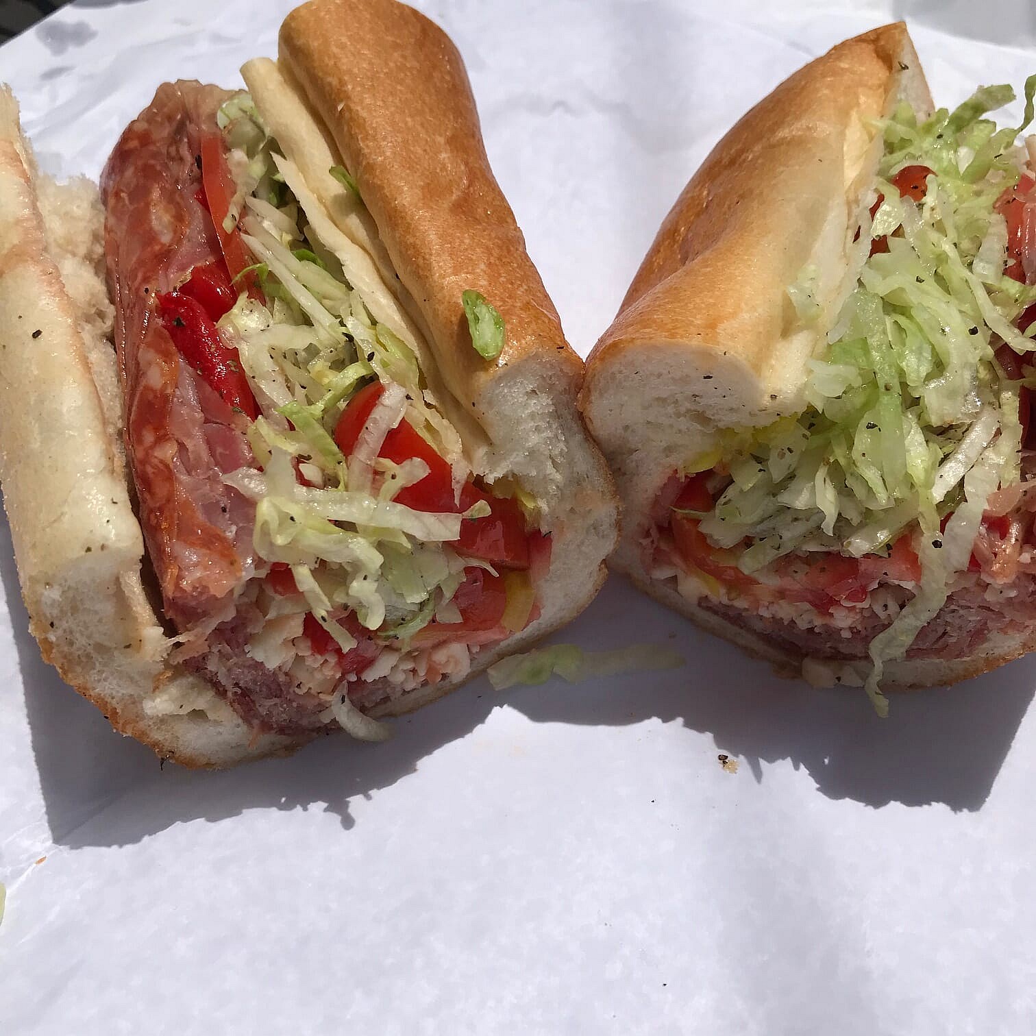 ricci's hoagie philly