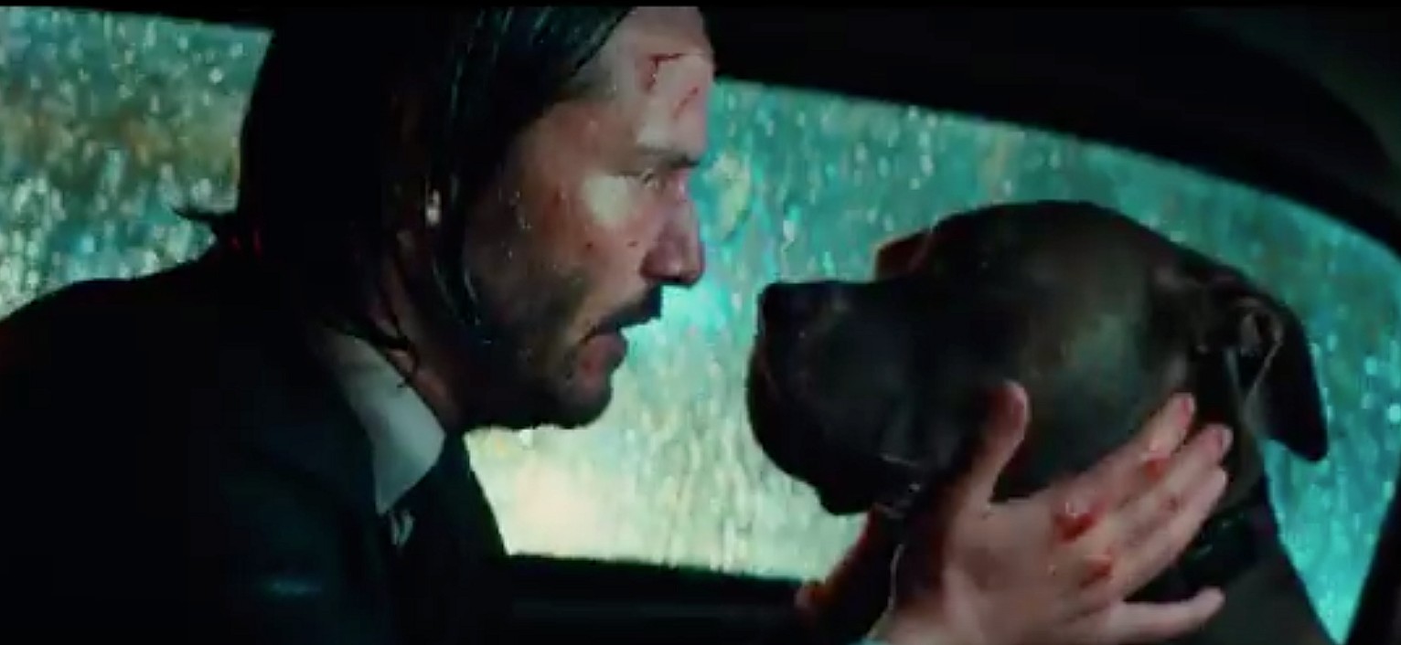 john-wick-3-dog-cab