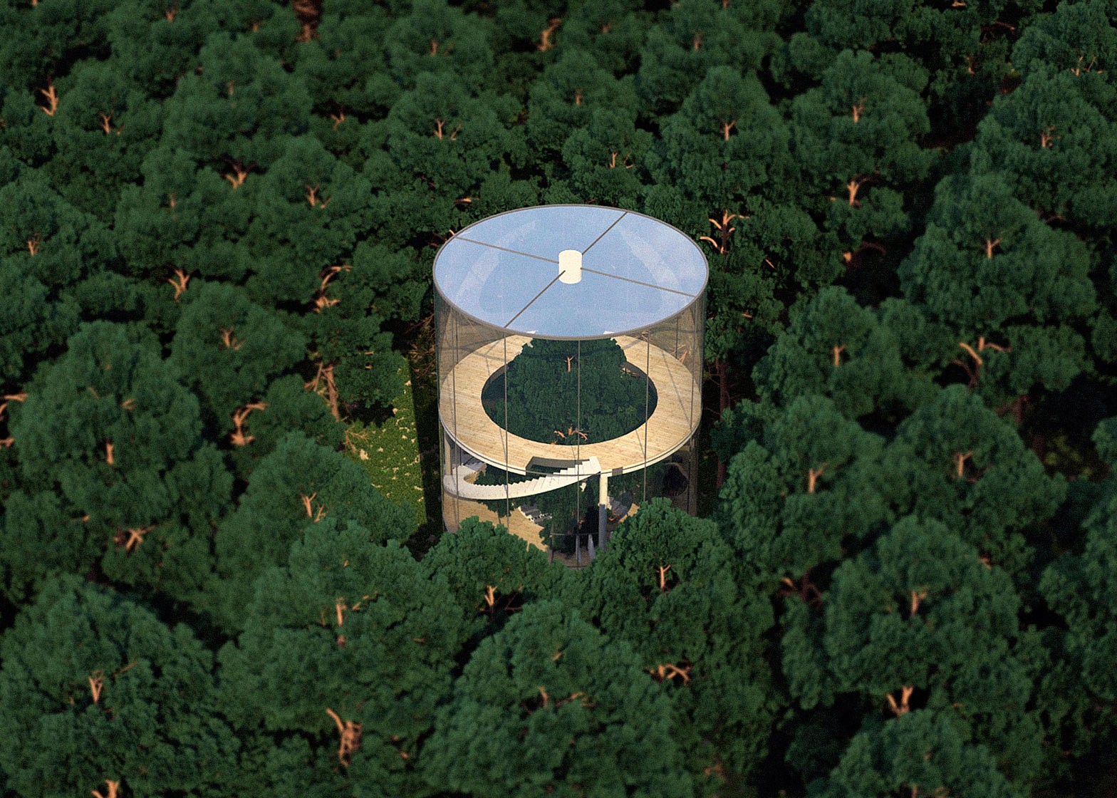 tree-house-aibek-almassov-forest-architecture_dezeen_1568_3.jpg