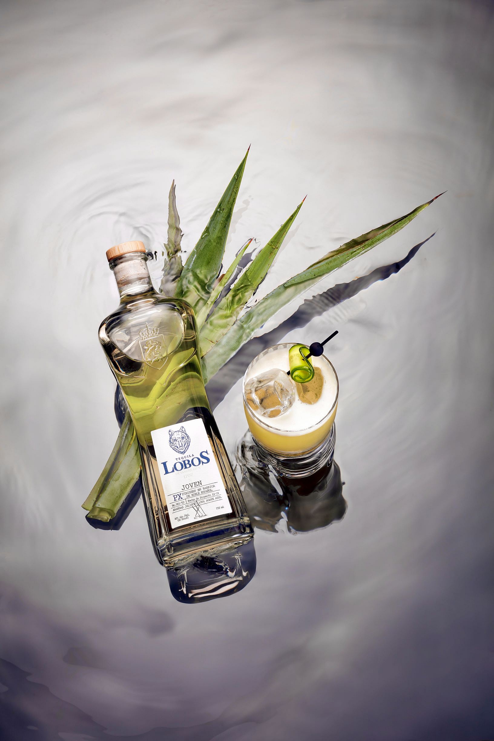 Mezcal and Tequila Cocktails Mixed Drinks for the Golden Age of Agave (3)