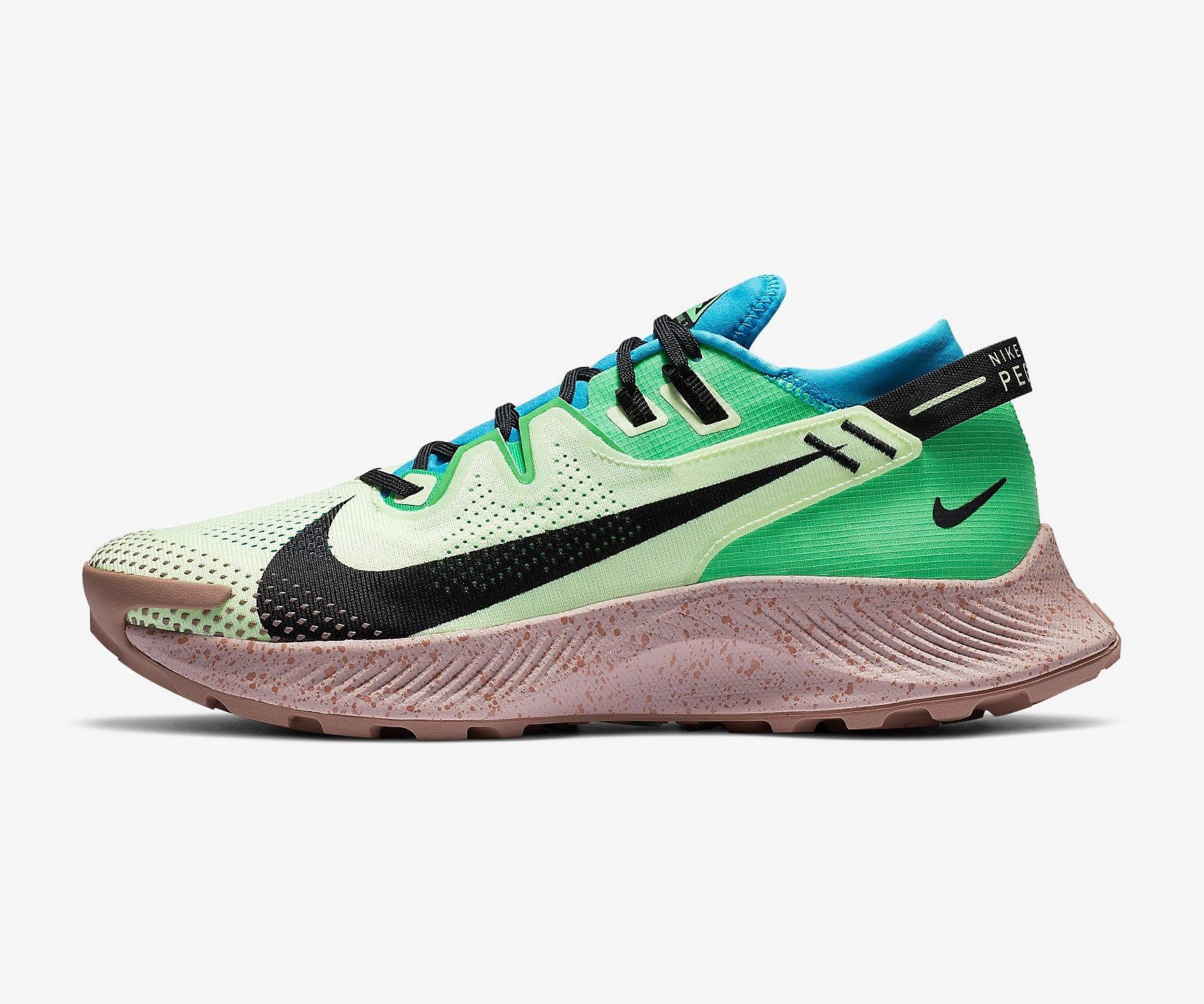 Nike Pegasus Trail 2 (1)
