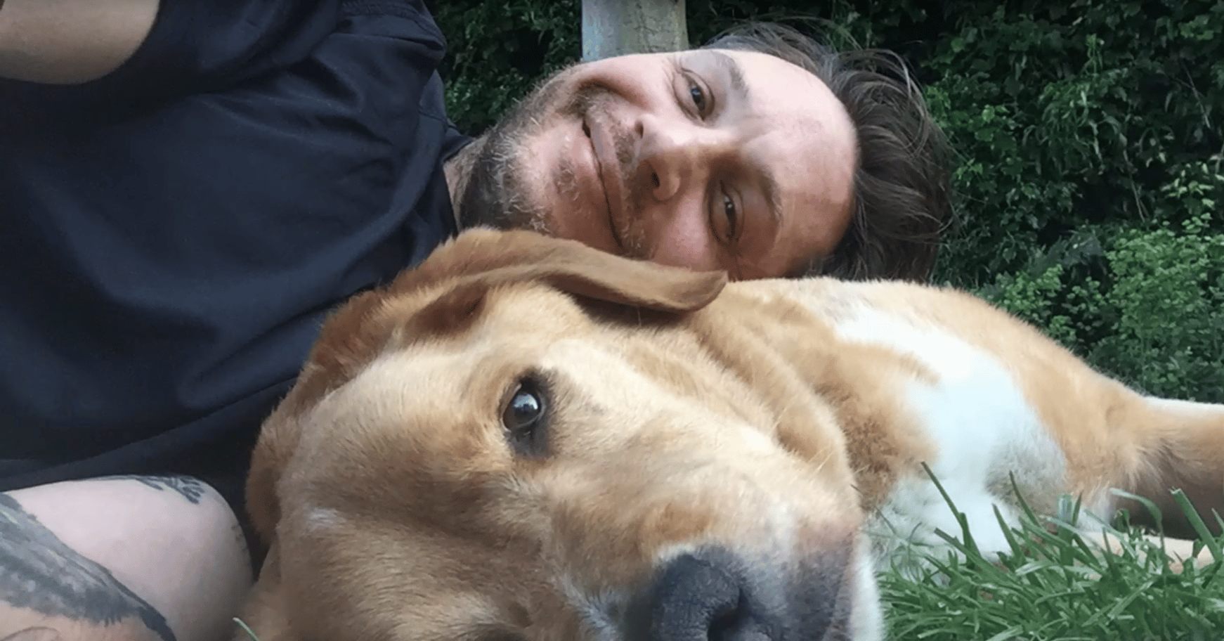 Tom Hardy Dog