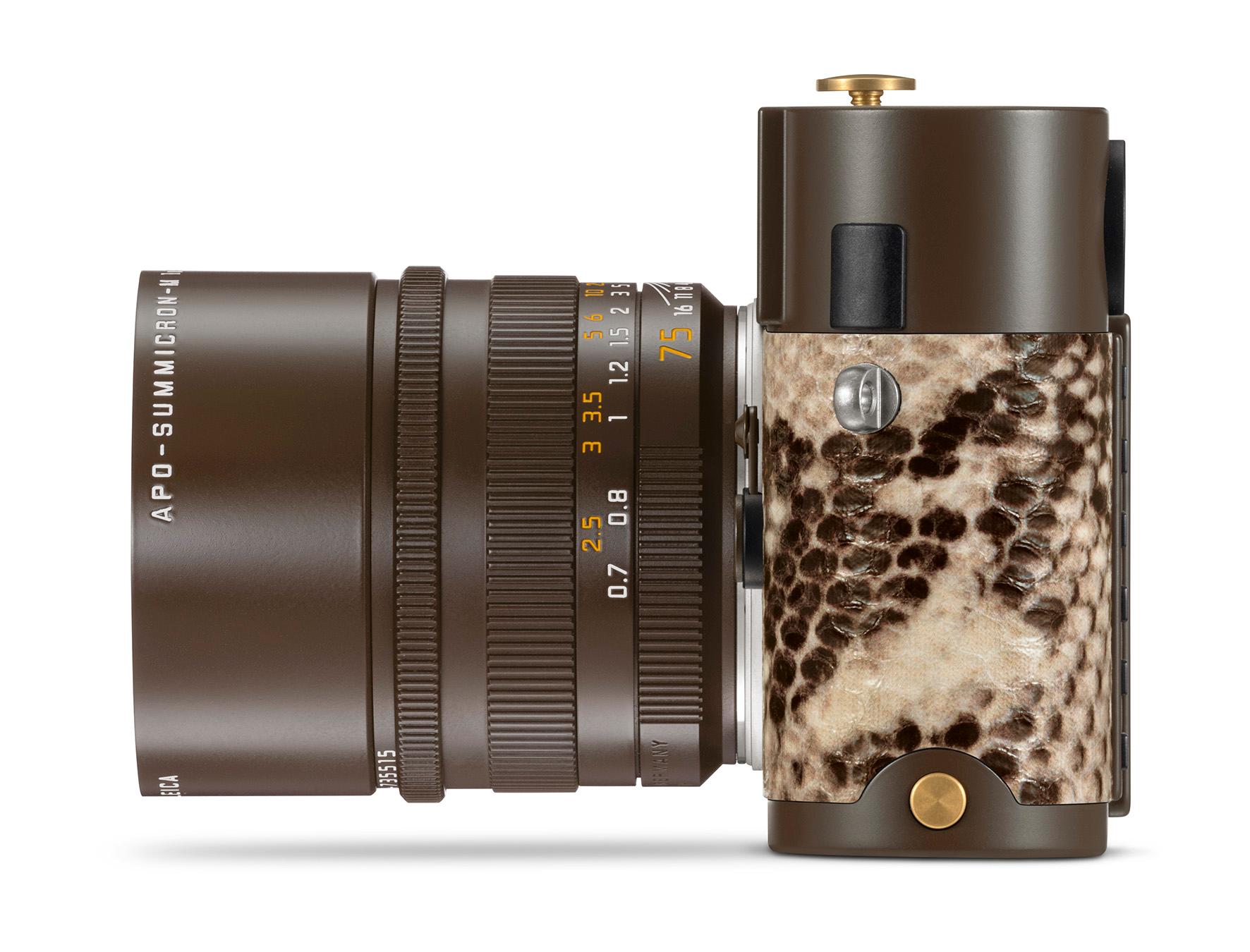 Lenny Kravitz x Leica (5)