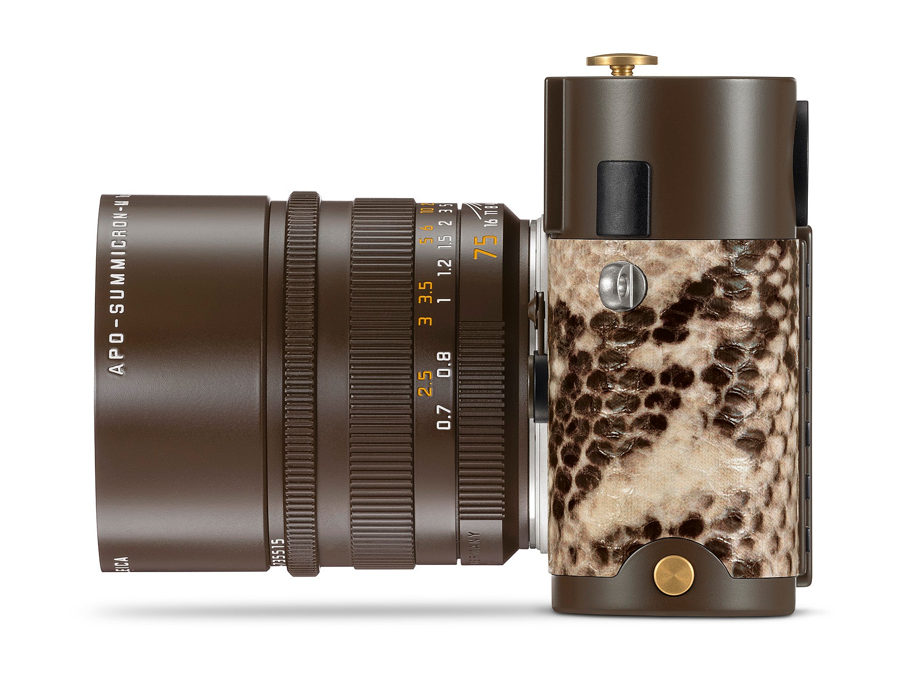 Lenny Kravitz x Leica (5)
