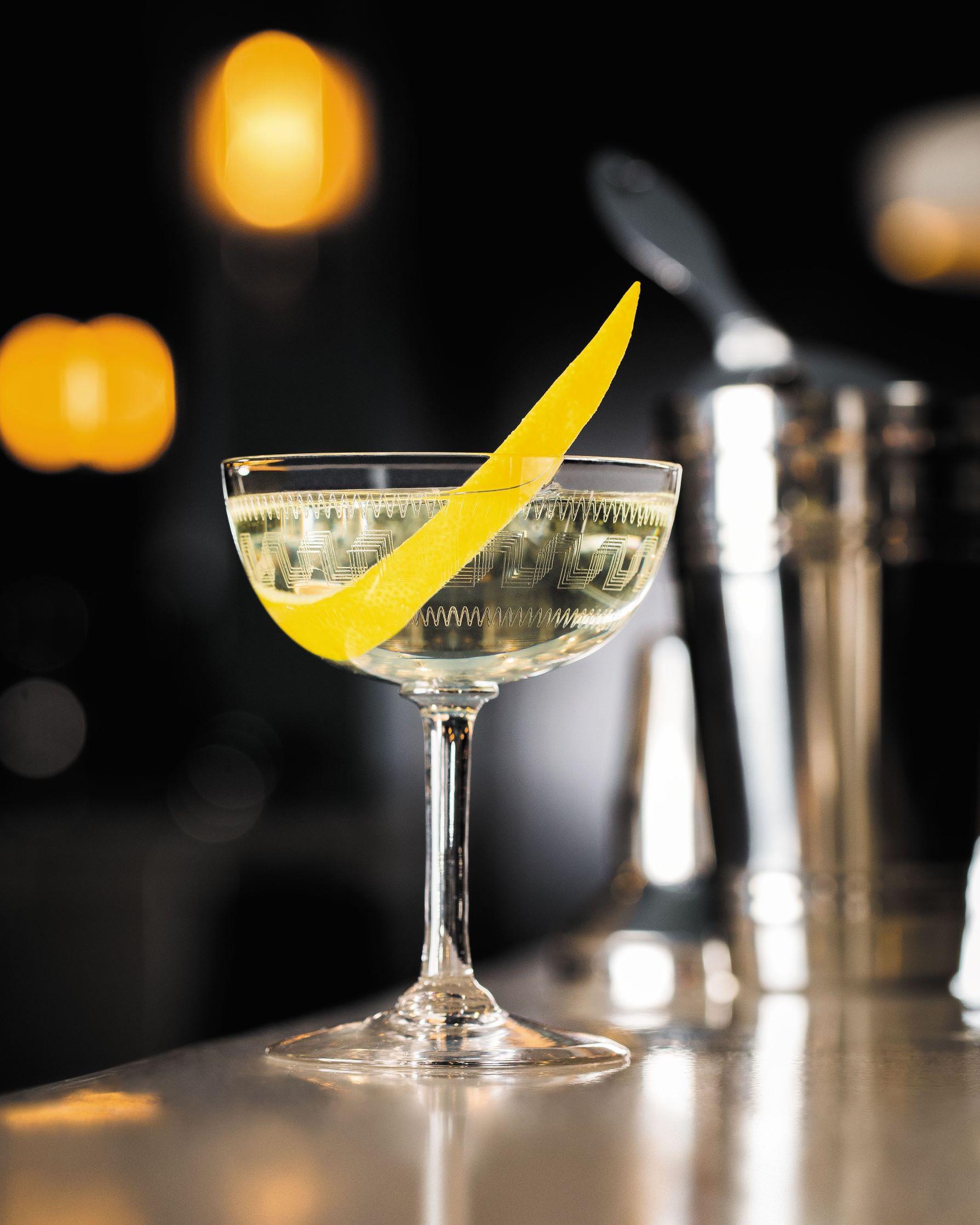 Shaken_Martini_002