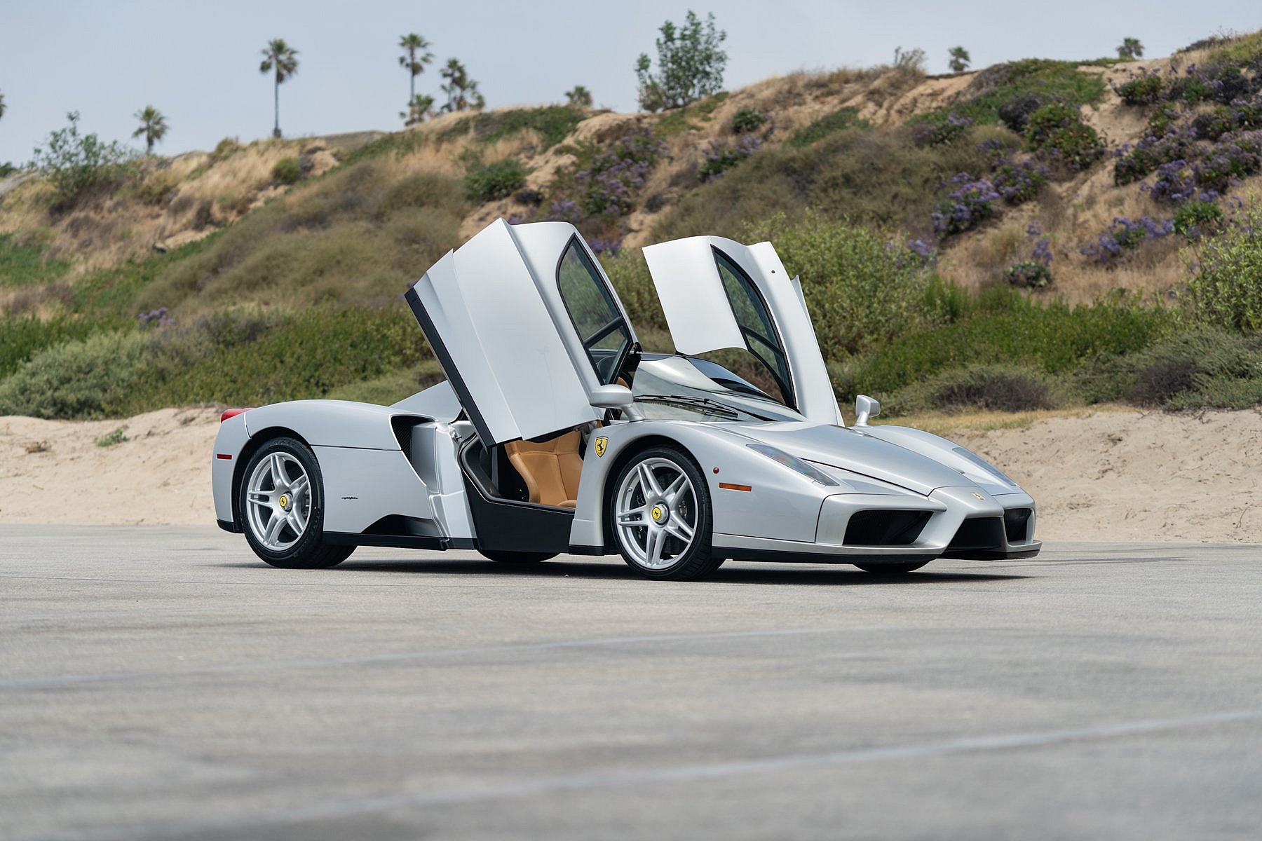 2003_Ferrari_Enzo-6