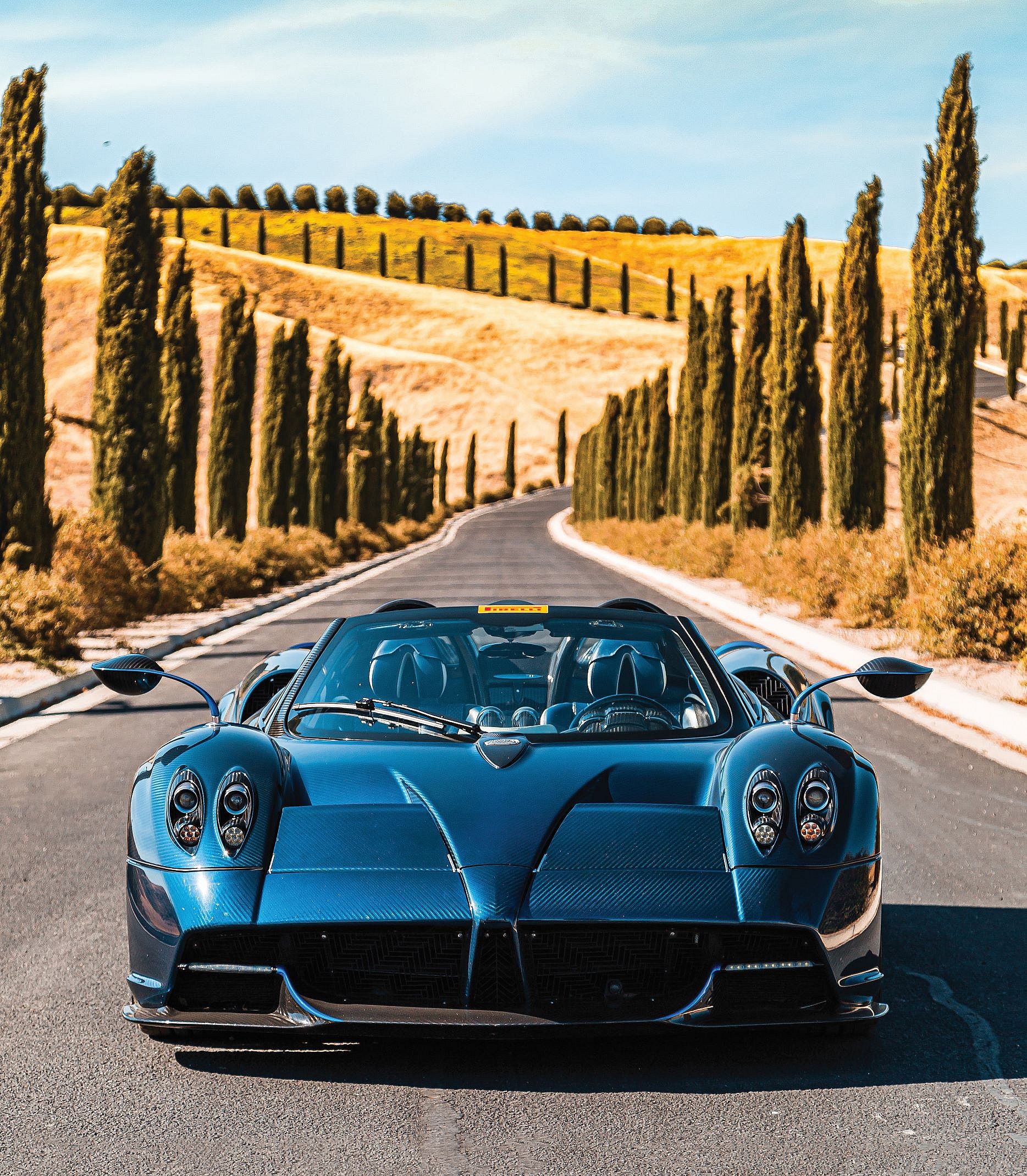 Pagani Huayra Roadster (5)