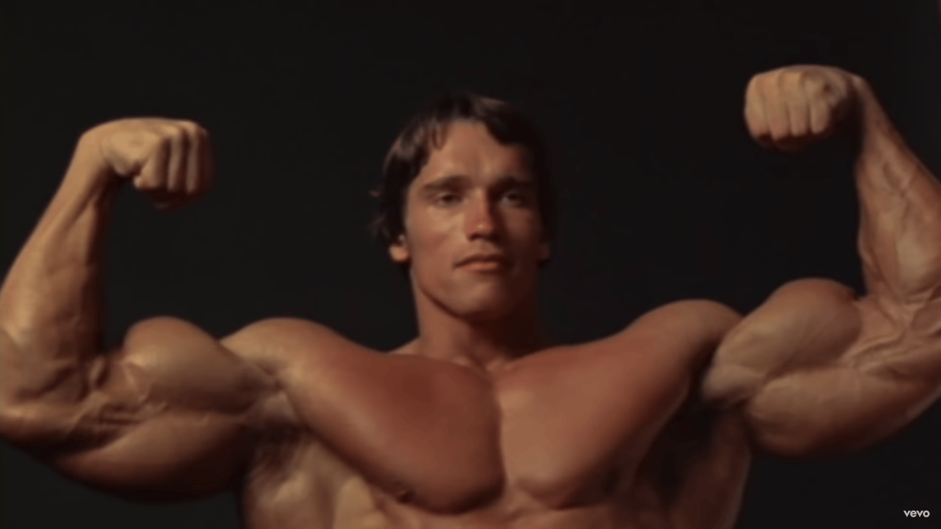Arnold Schwarzenegger Pump It Up 2