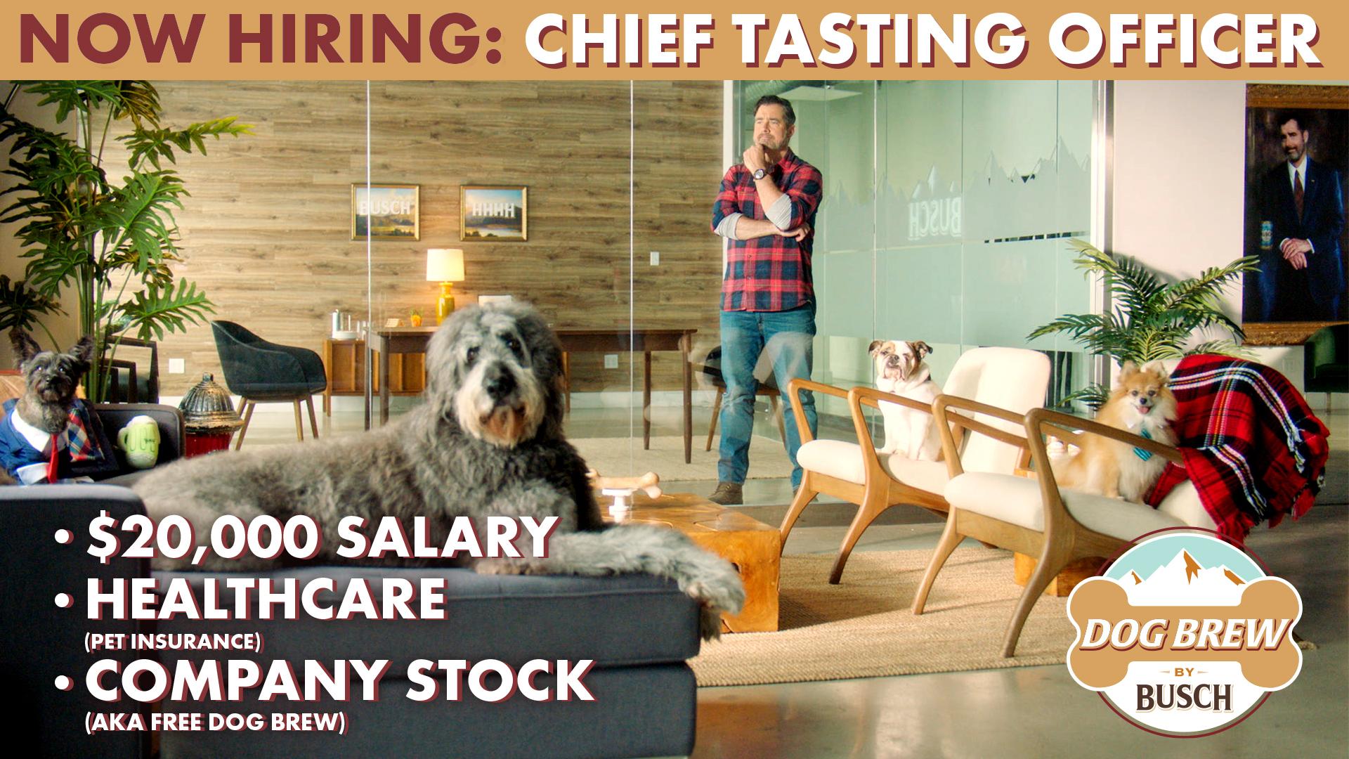 Busch Dog Brew Chief Tasting Officer (1)