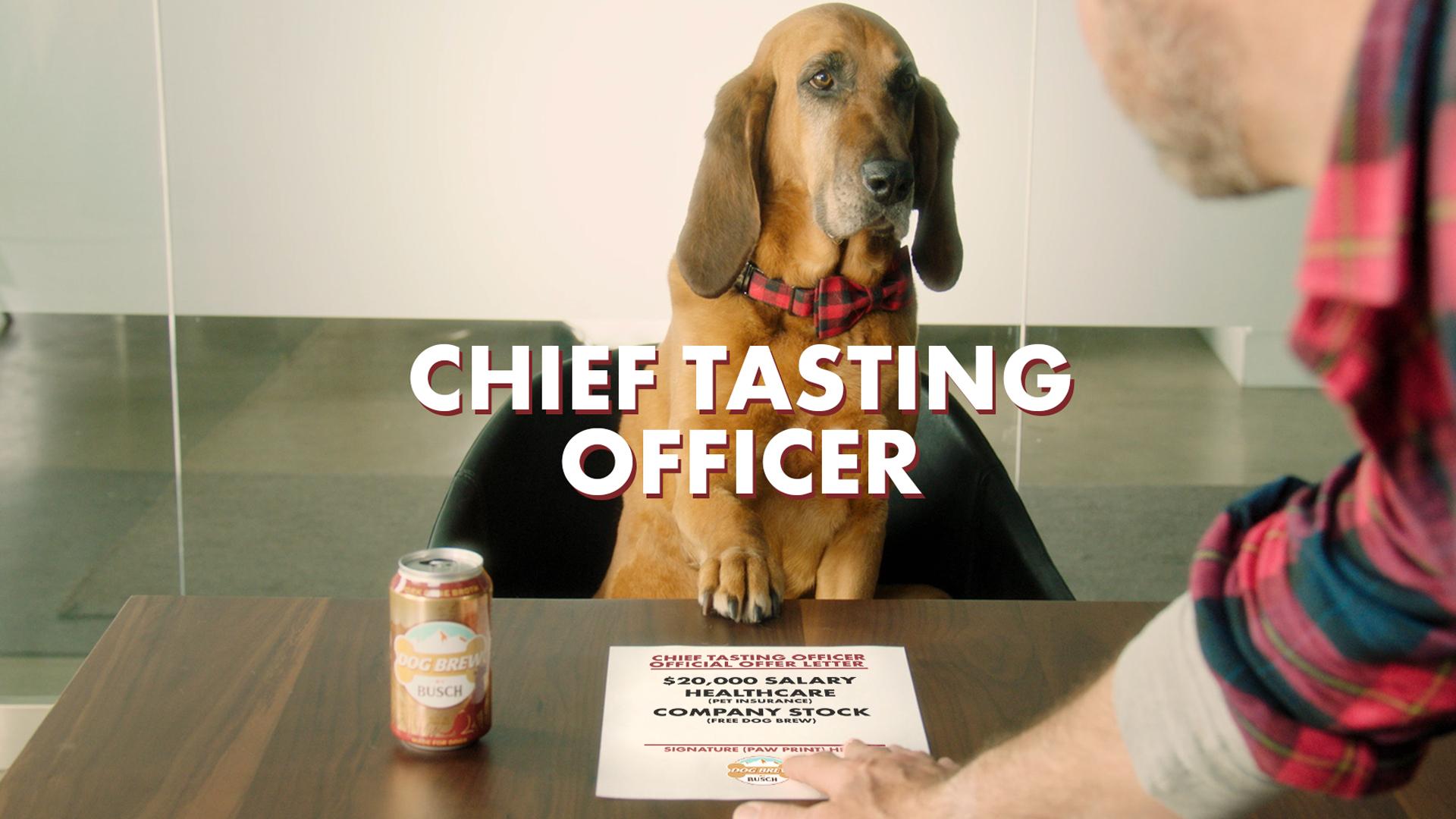 Busch Dog Brew Chief Tasting Officer (2)