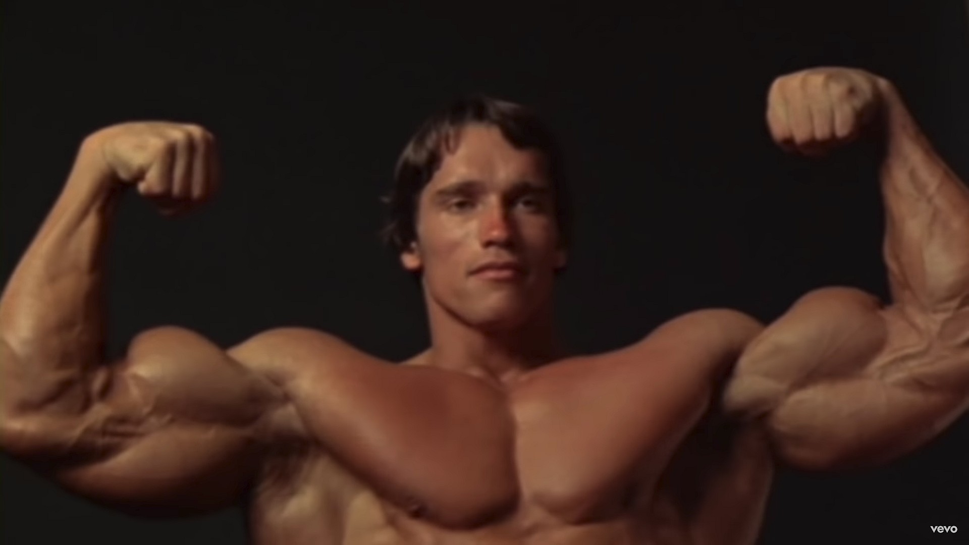 Arnold Schwarzenegger Pump It Up 2