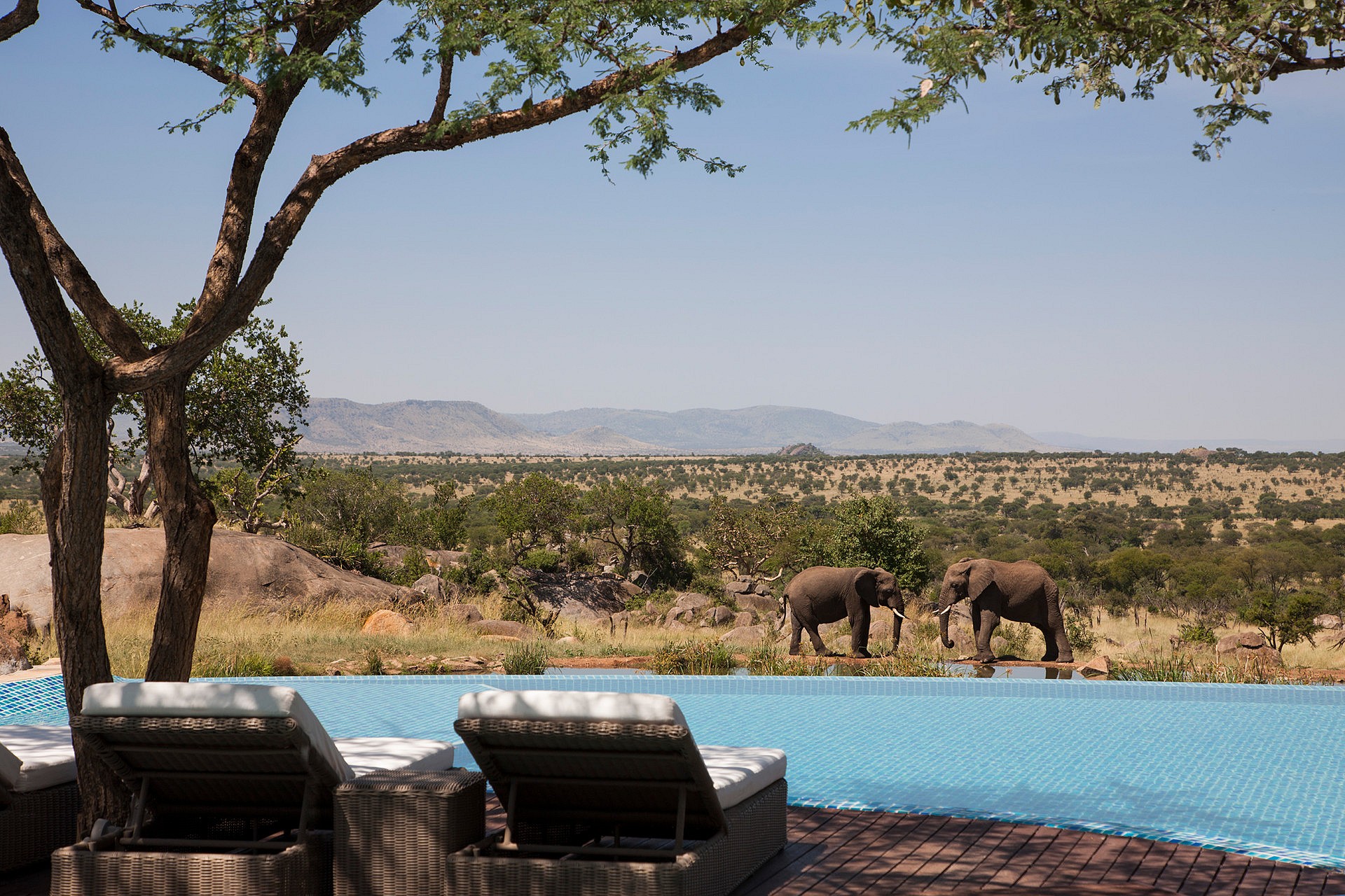 Four Seasons Safari Lodge Serengeti, Tanzania _ Richard Waite