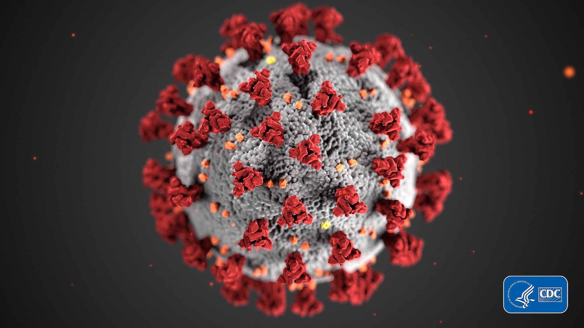 coronavirus-jpeg-cdc-gov