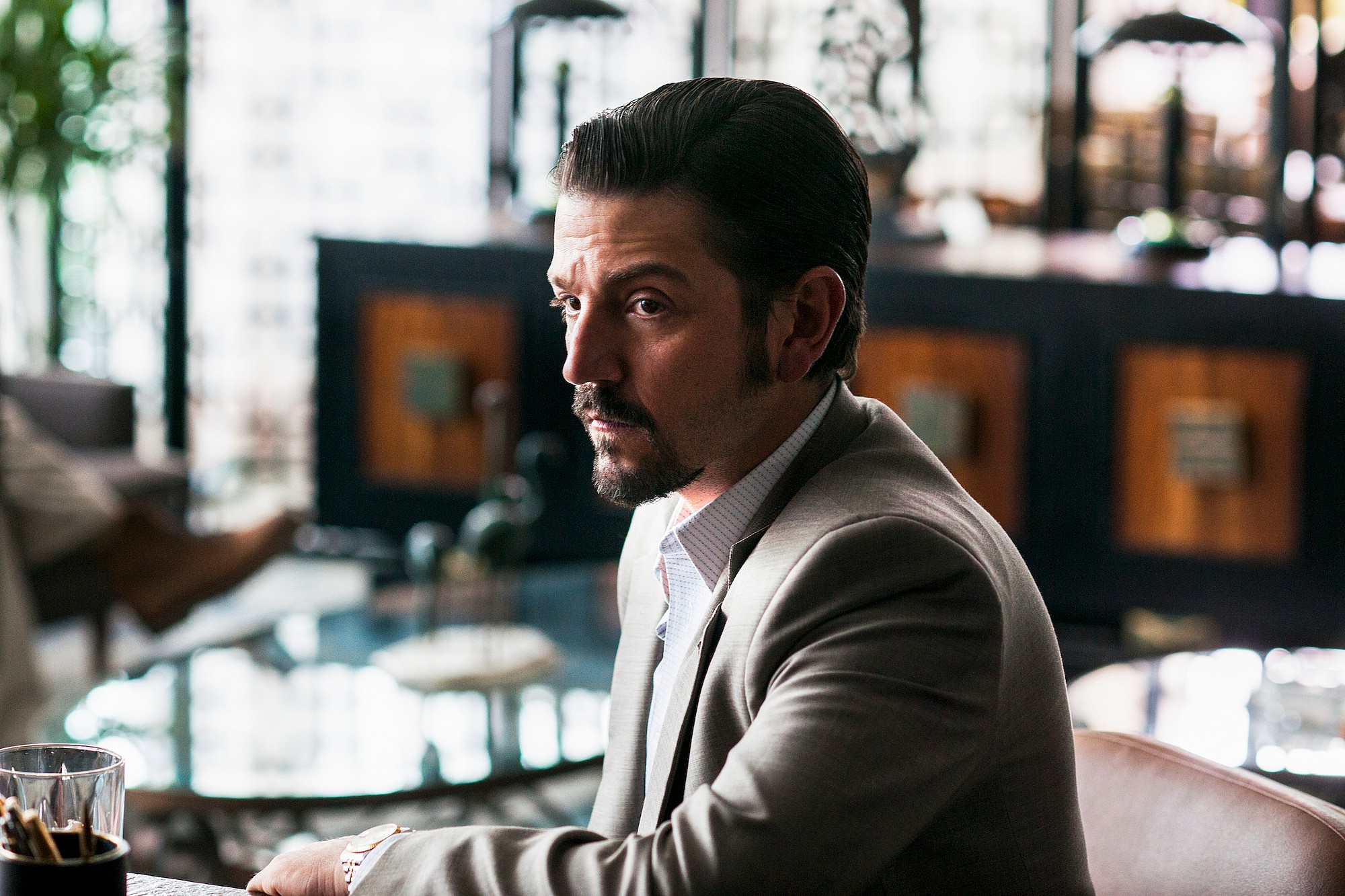 Diego Luna Narcos
