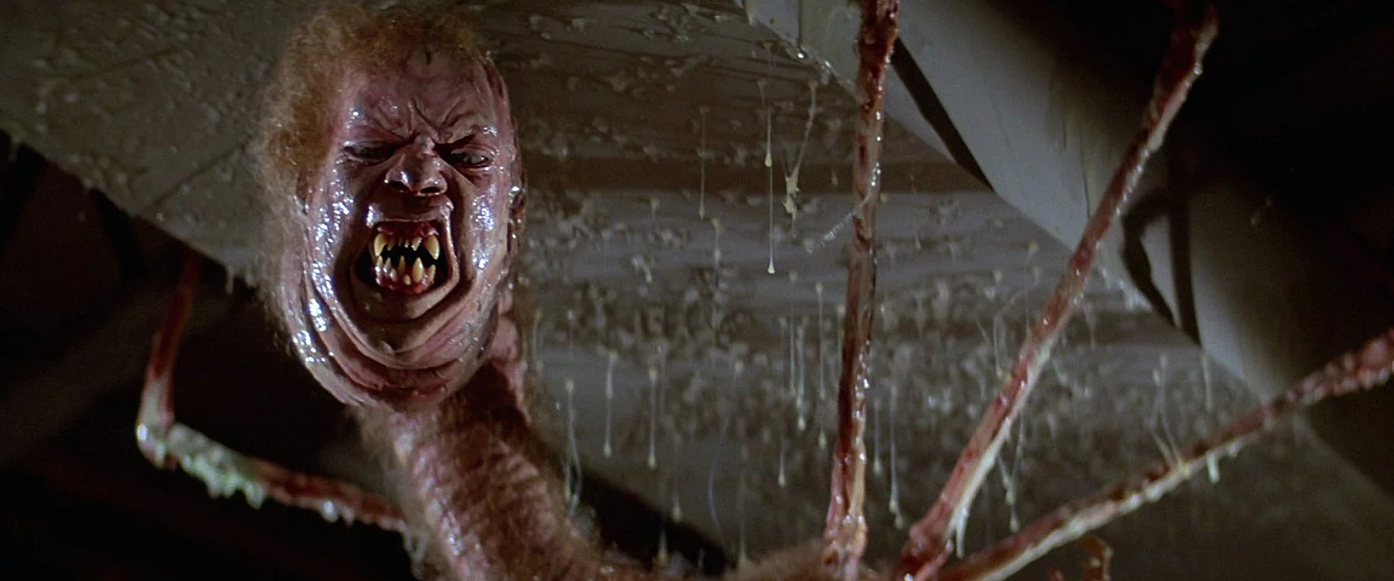 Screen Shot 2018-10-08 at 5.58.25 AM