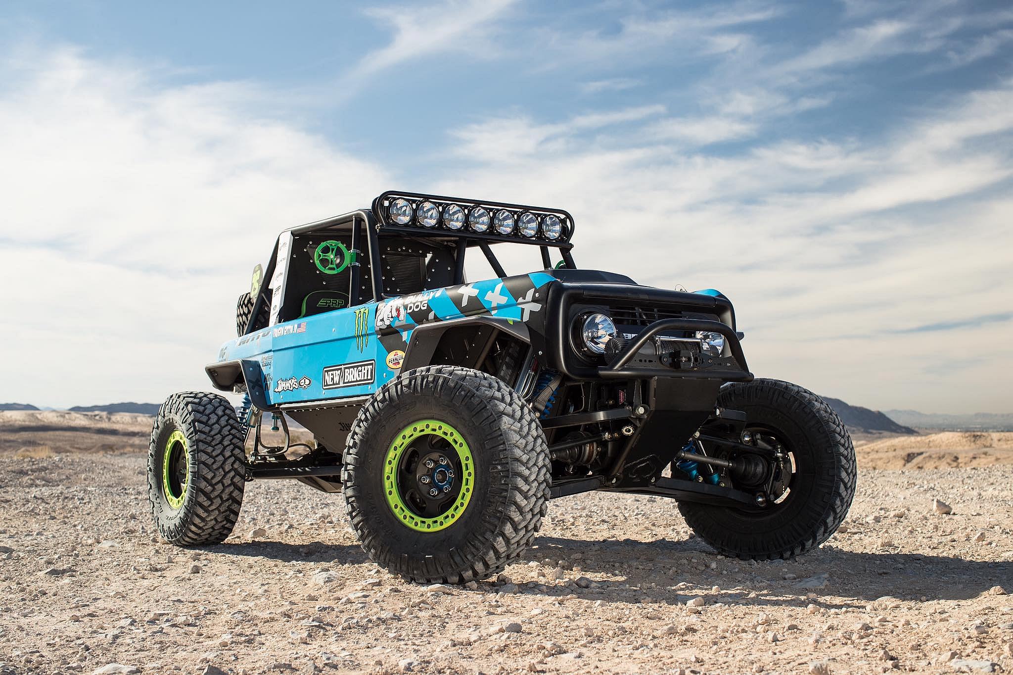 Gittin Brocky Bronco
