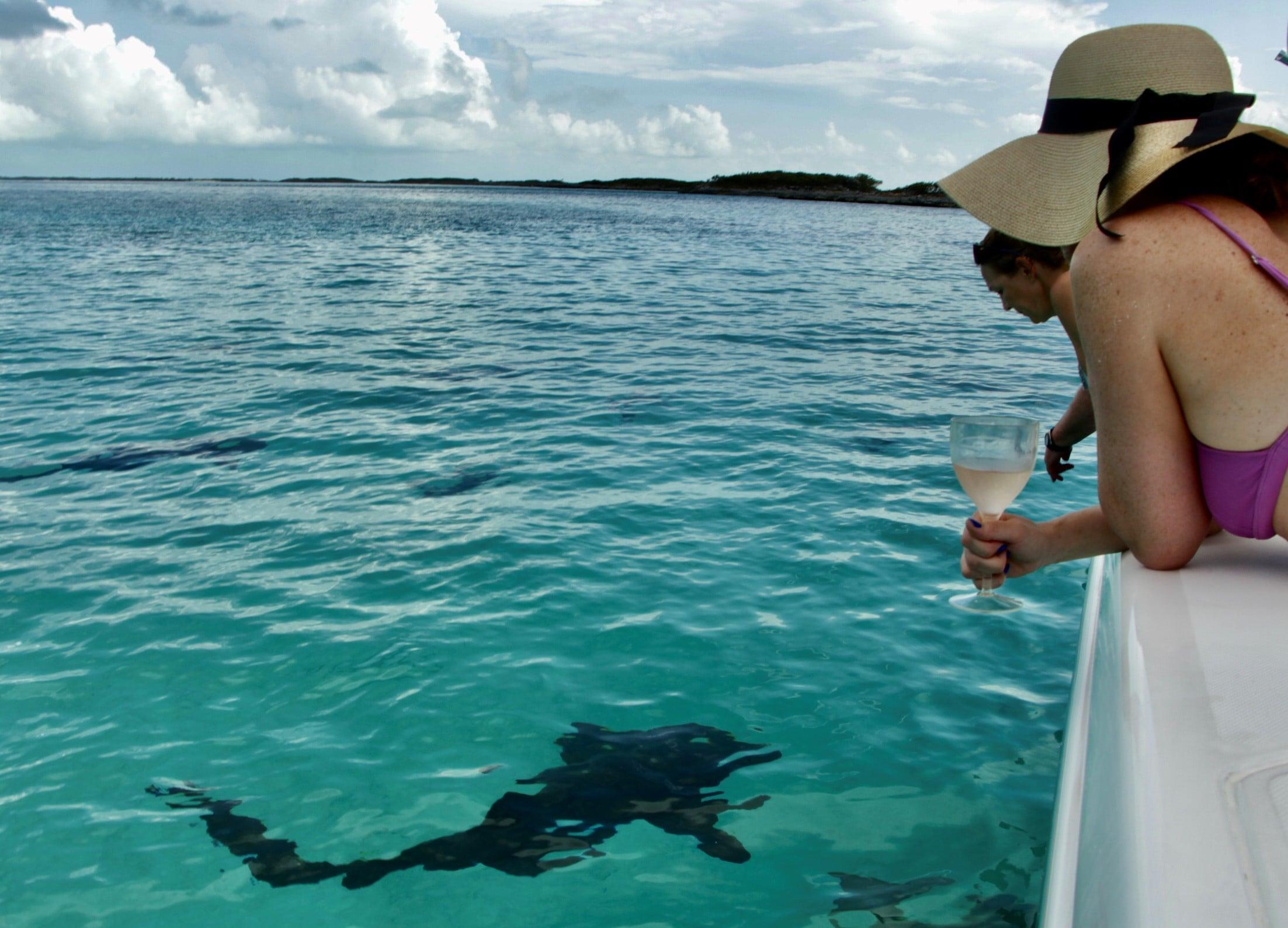Bahamas Exumas The Loon (8)