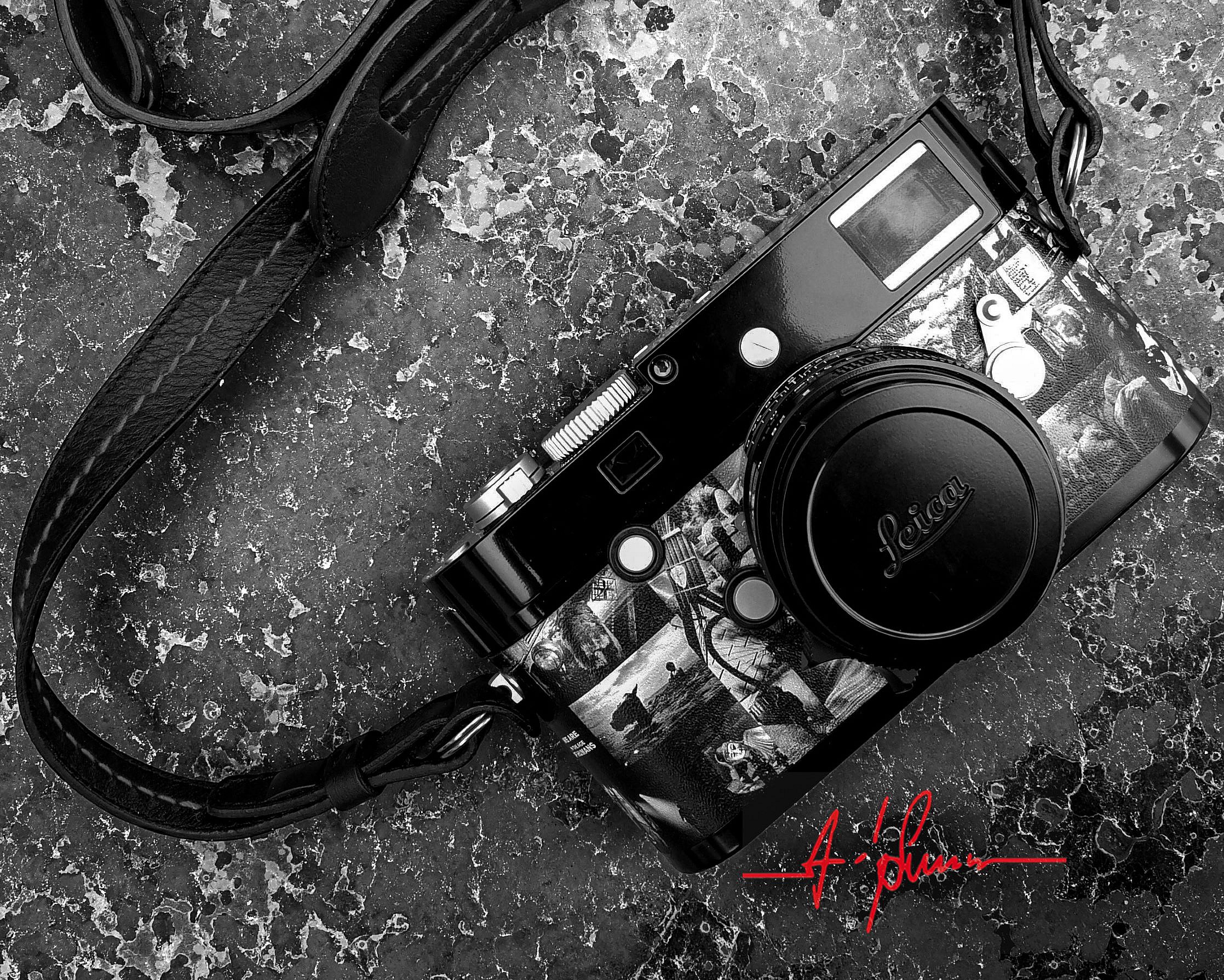 Andy Summers x Lecia (5)