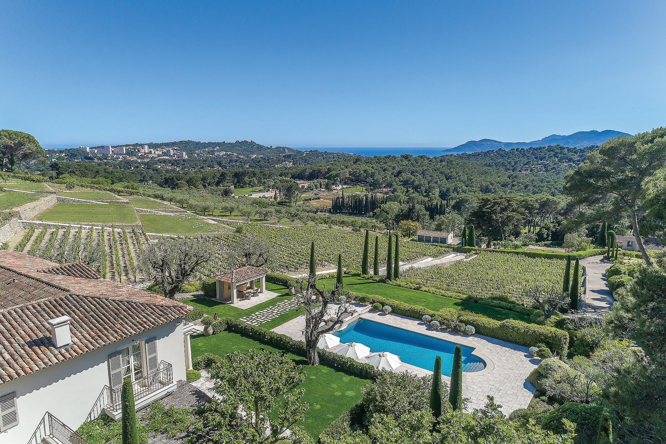 Vineyards (6)