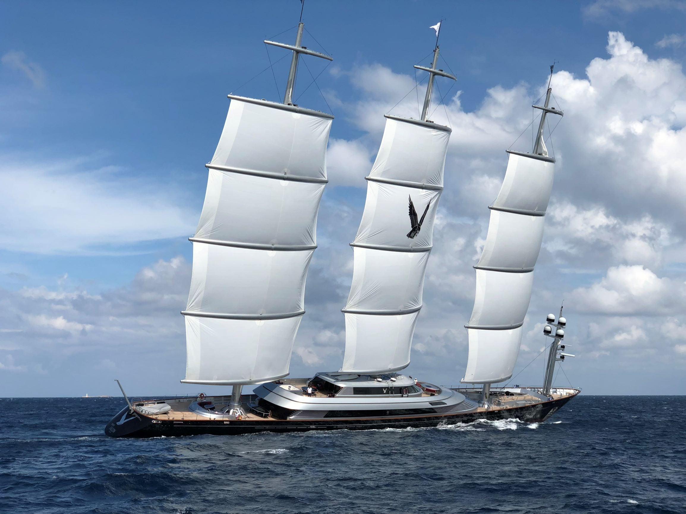 Maltese Falcon
