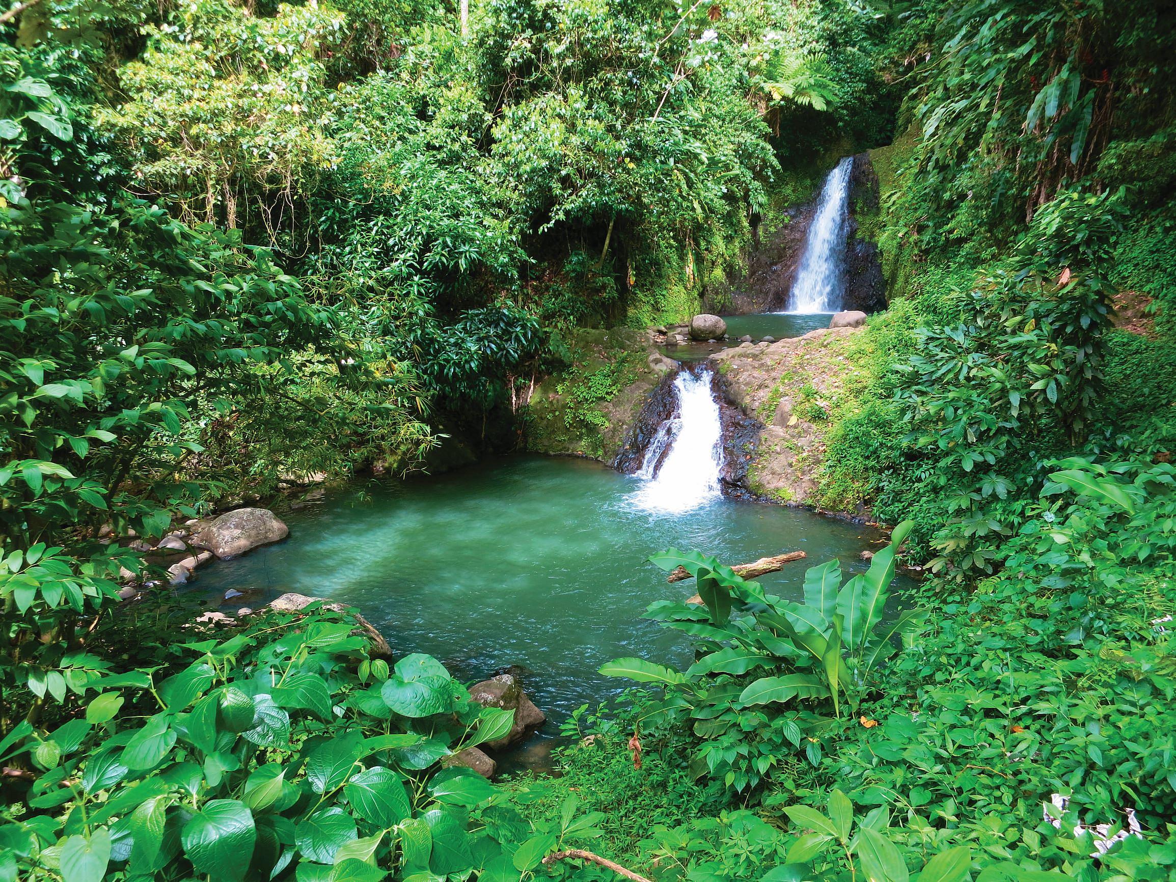Grenada (4)