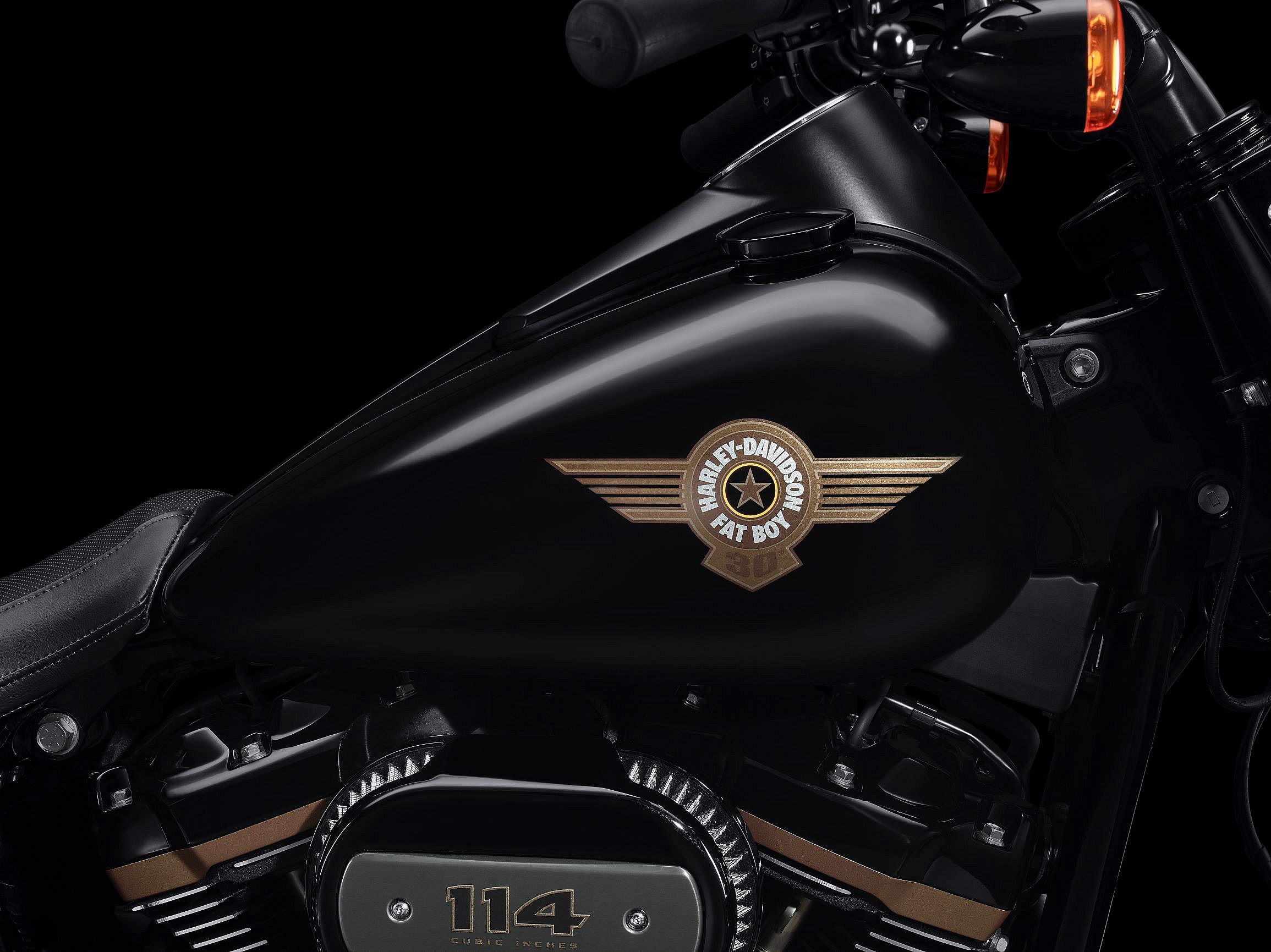 Harley-Davidson Fat Boy 30th Anniversary  (4)