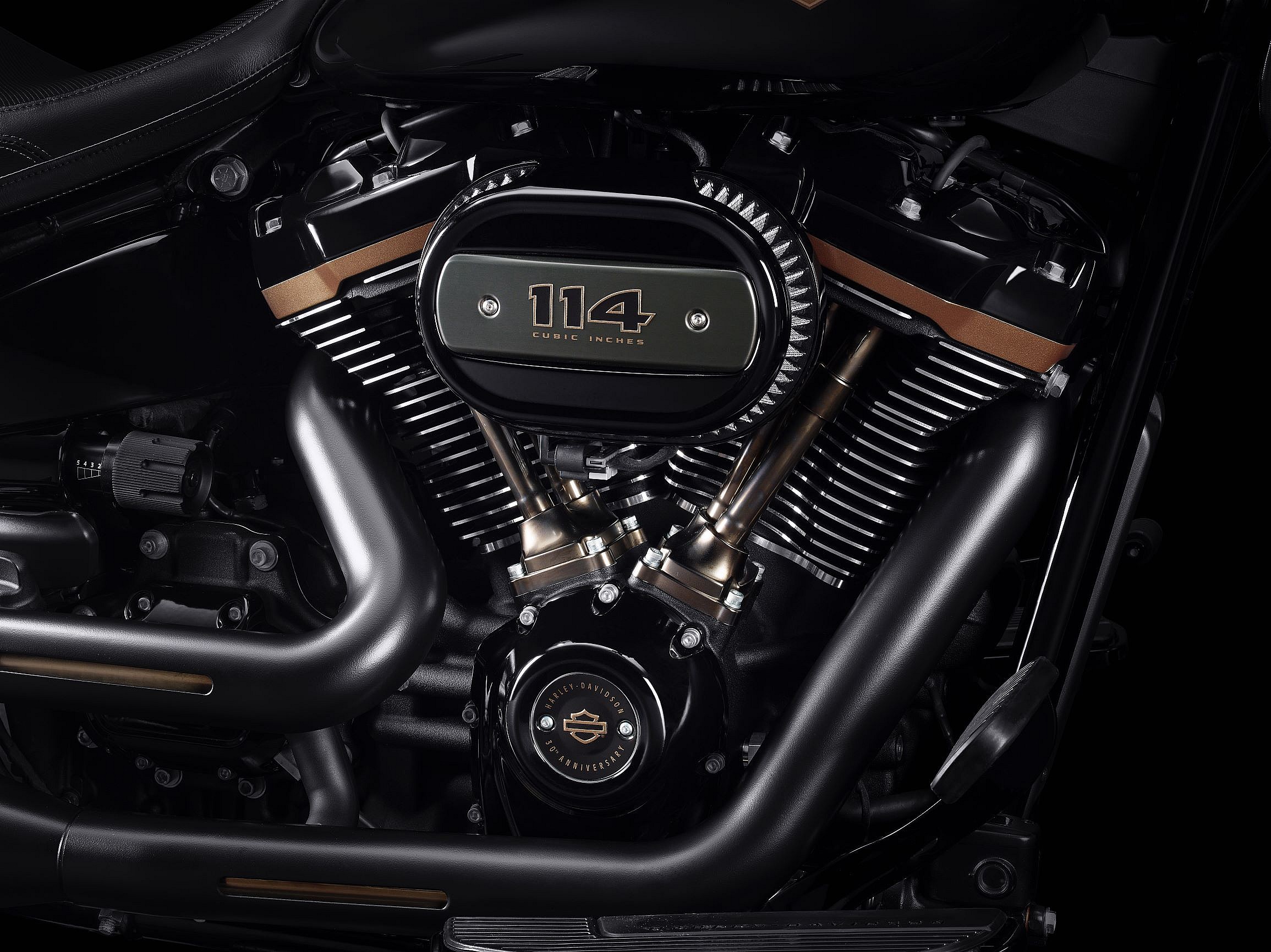 Harley-Davidson Fat Boy 30th Anniversary  (5)