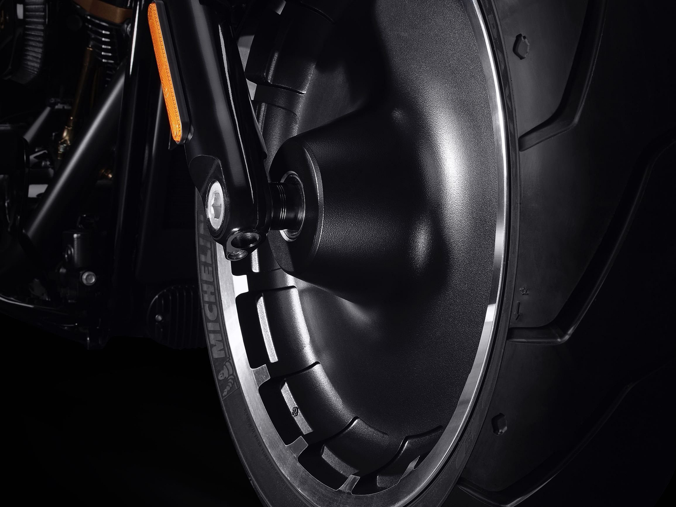 Harley-Davidson Fat Boy 30th Anniversary  (6)