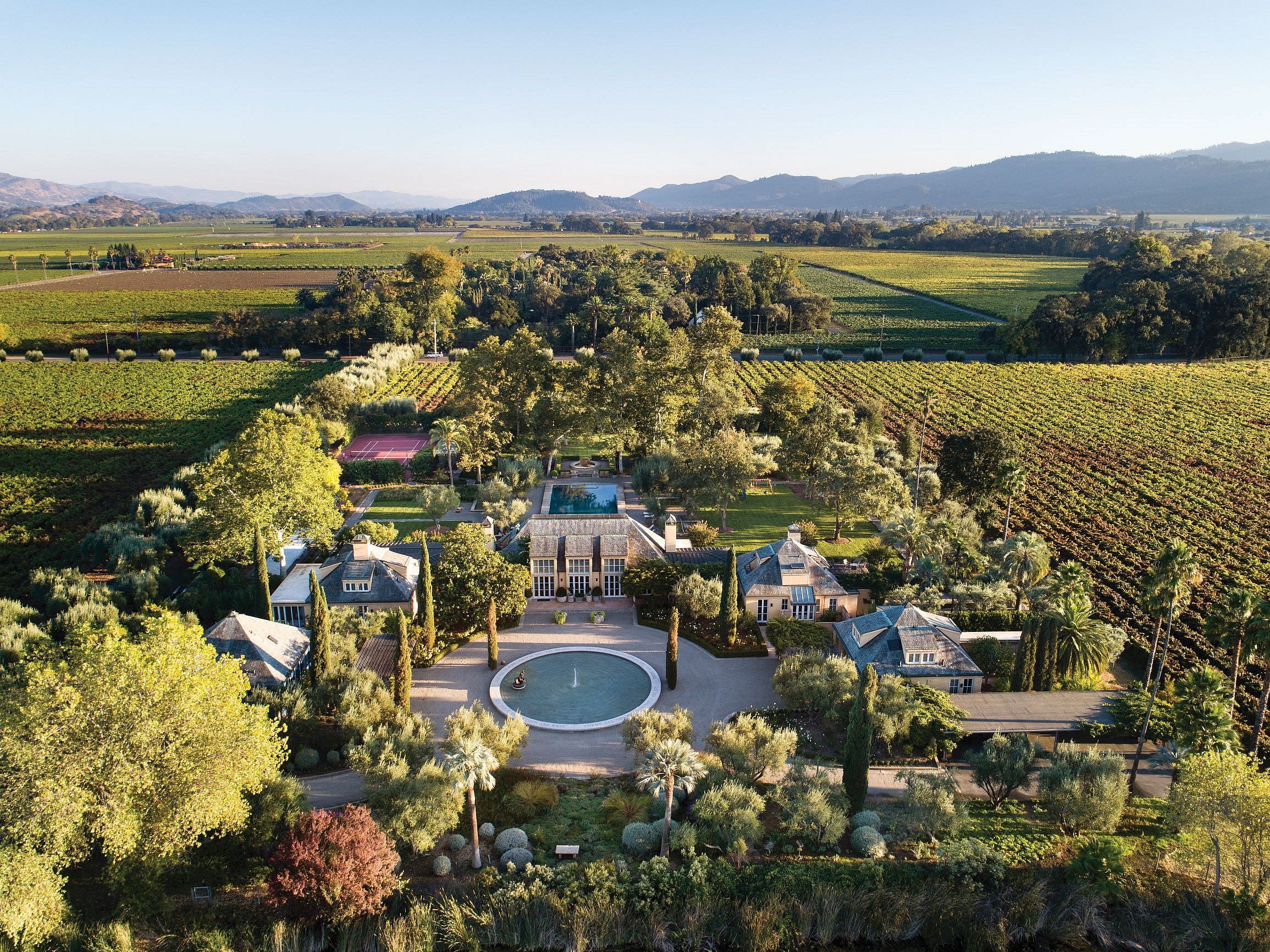 Vineyards (5)