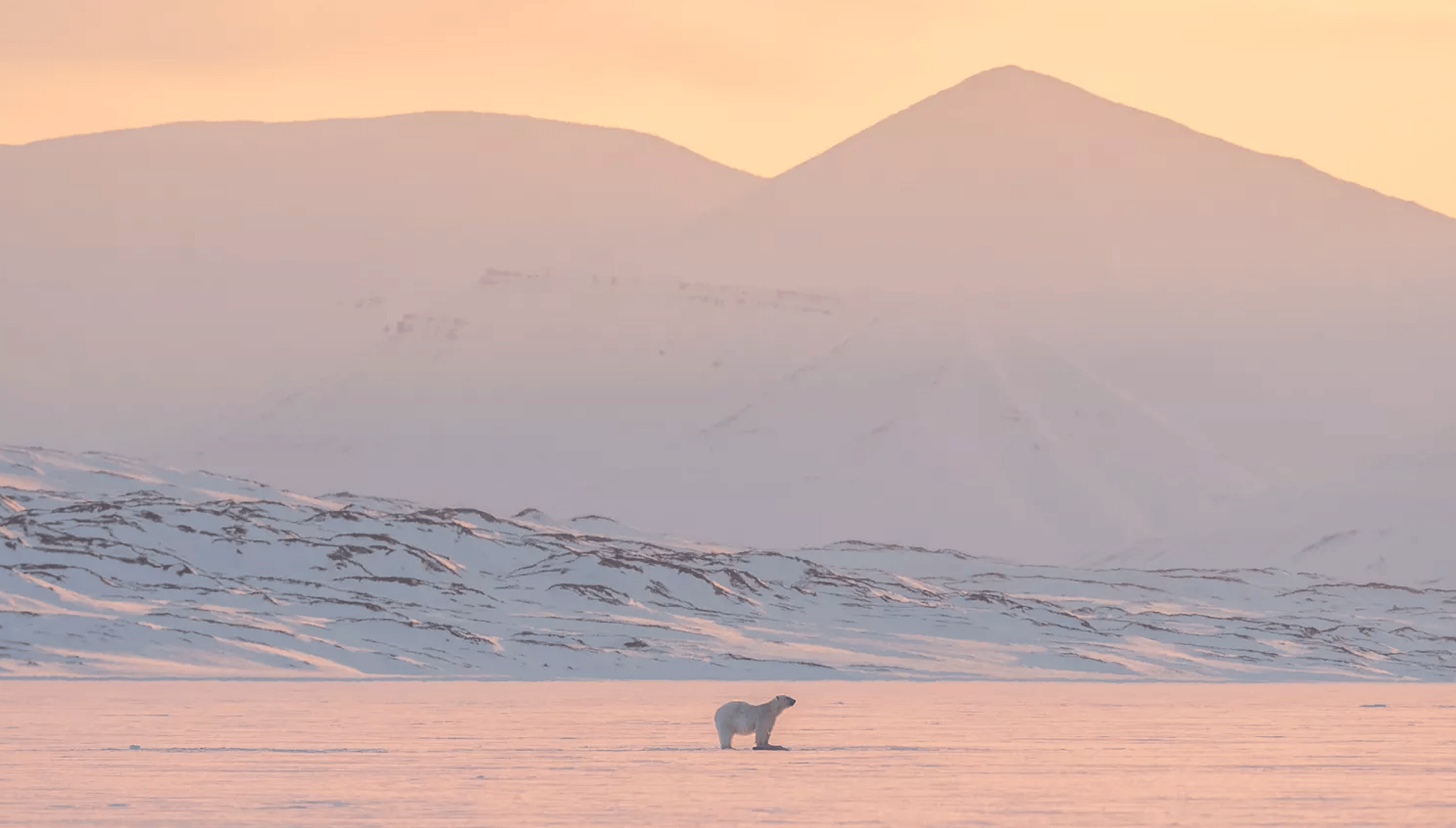 Screen Shot 2019-09-19 at 3.07.31 PM