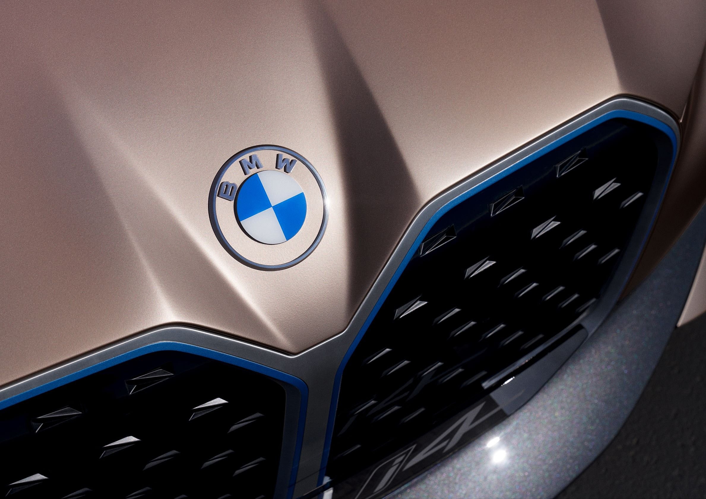 BMW Logo (2)