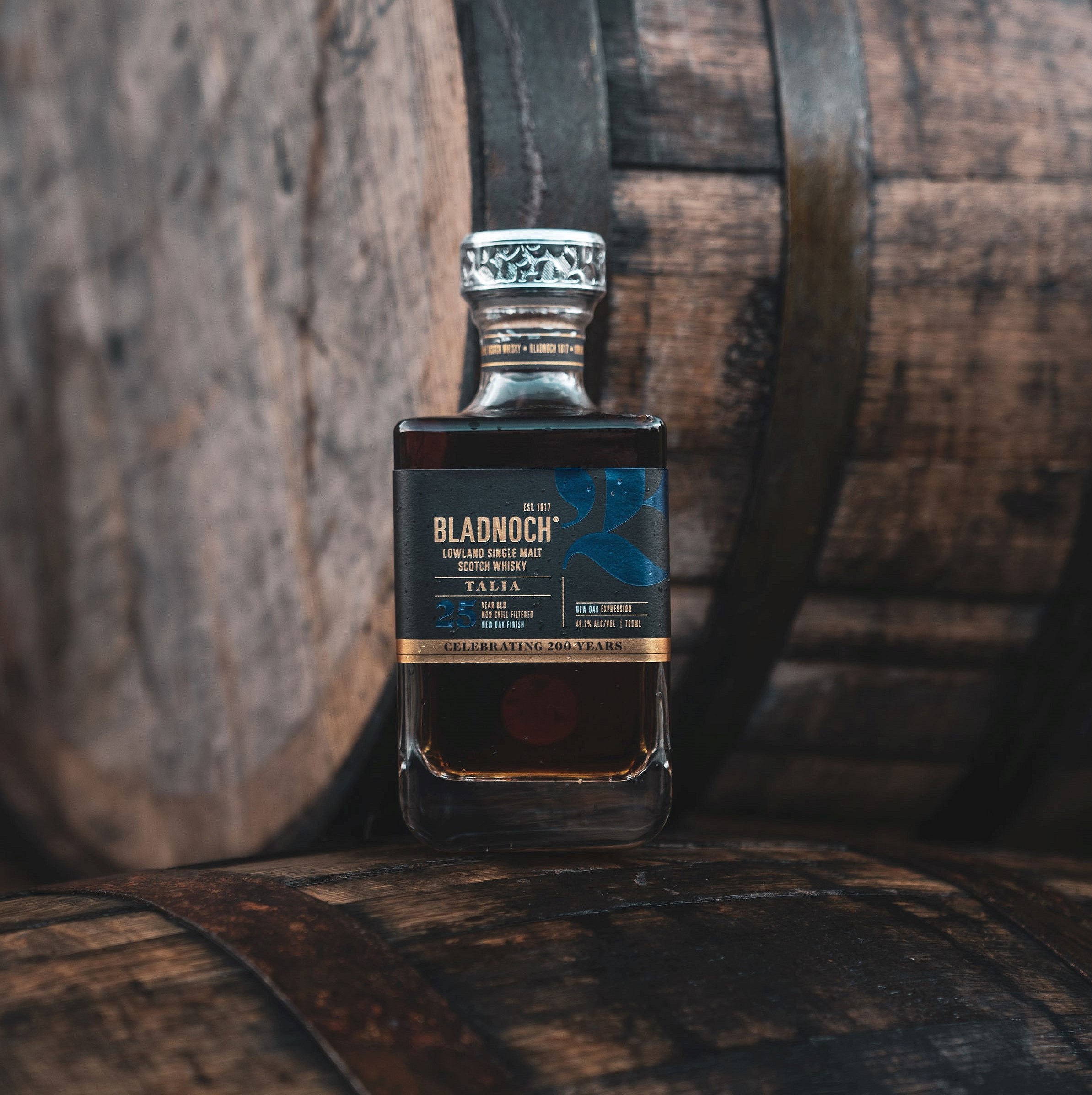 Bladnoch 25  (4)