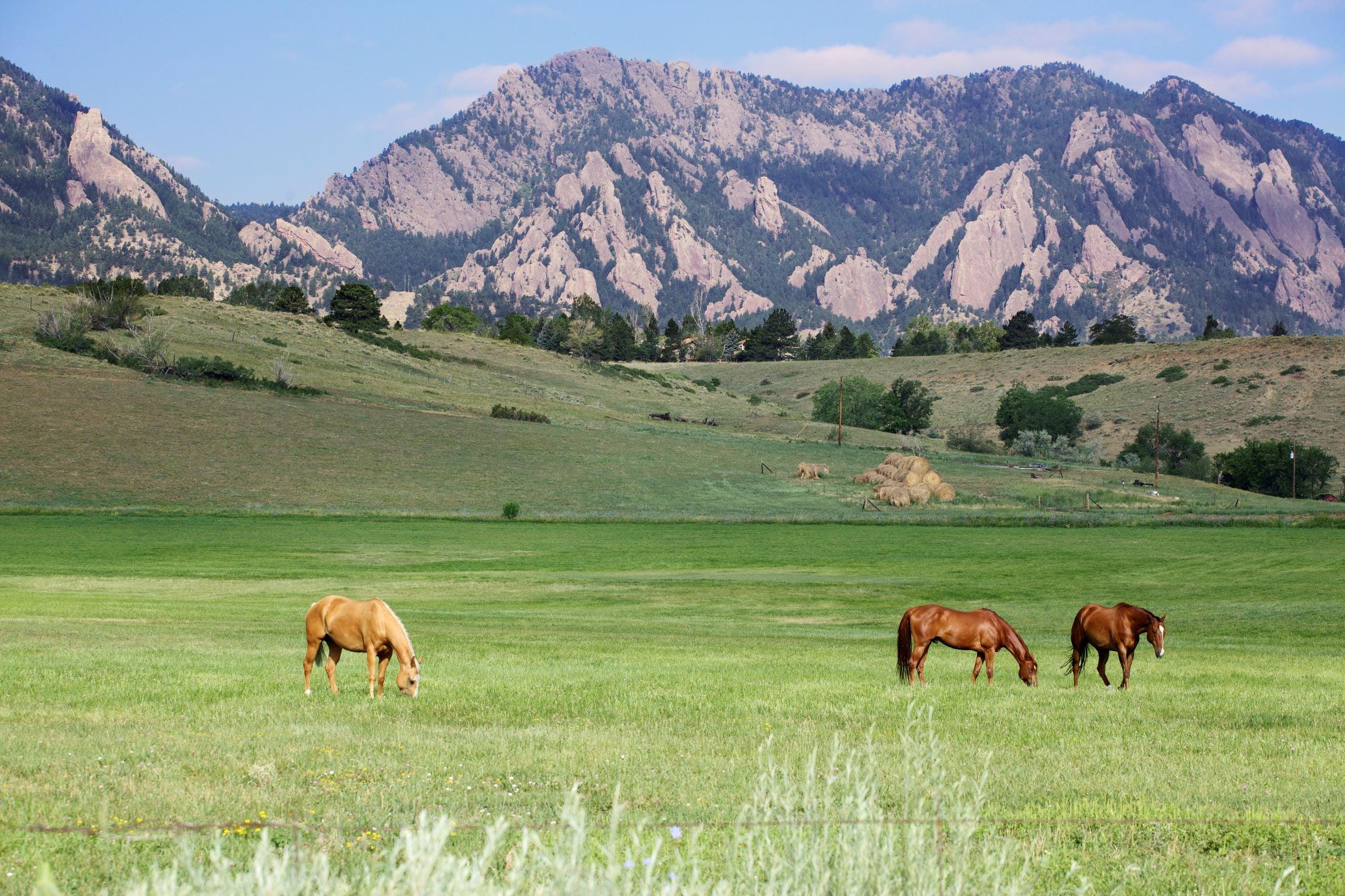 Colorado Ranch