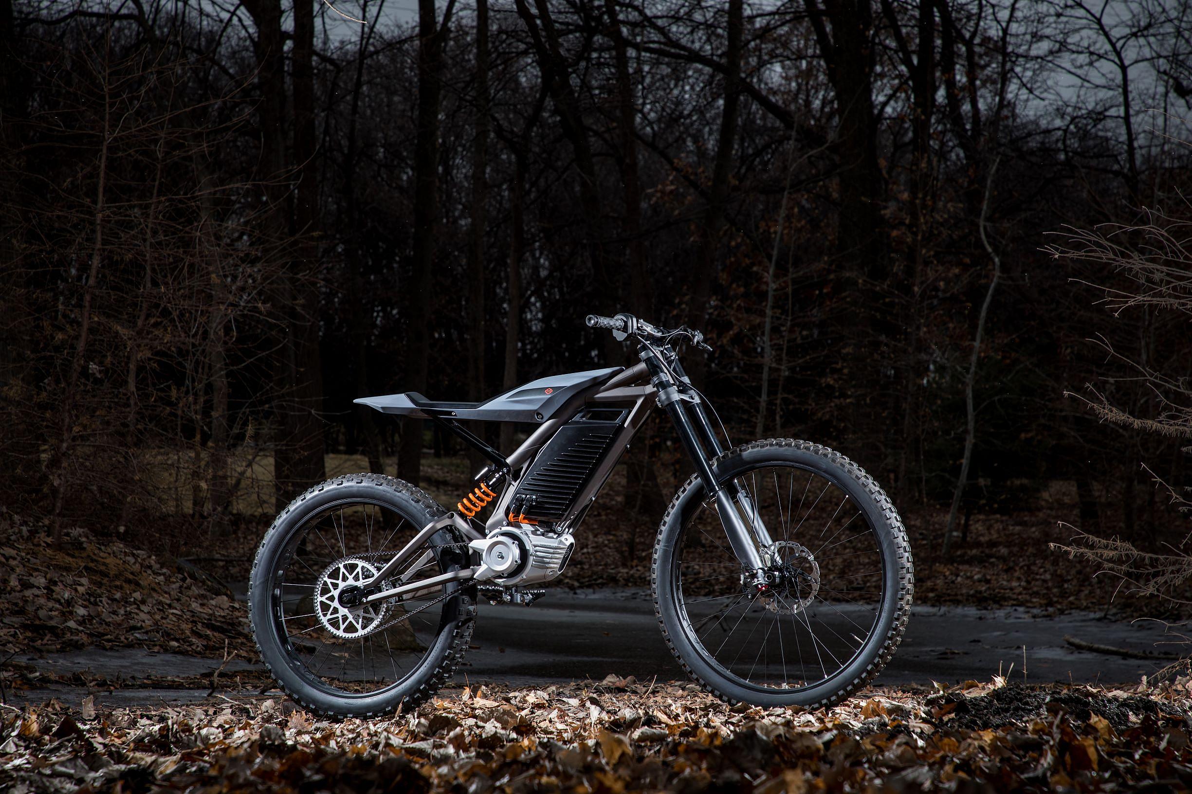 Harley-Davidson Electric Bike (4)