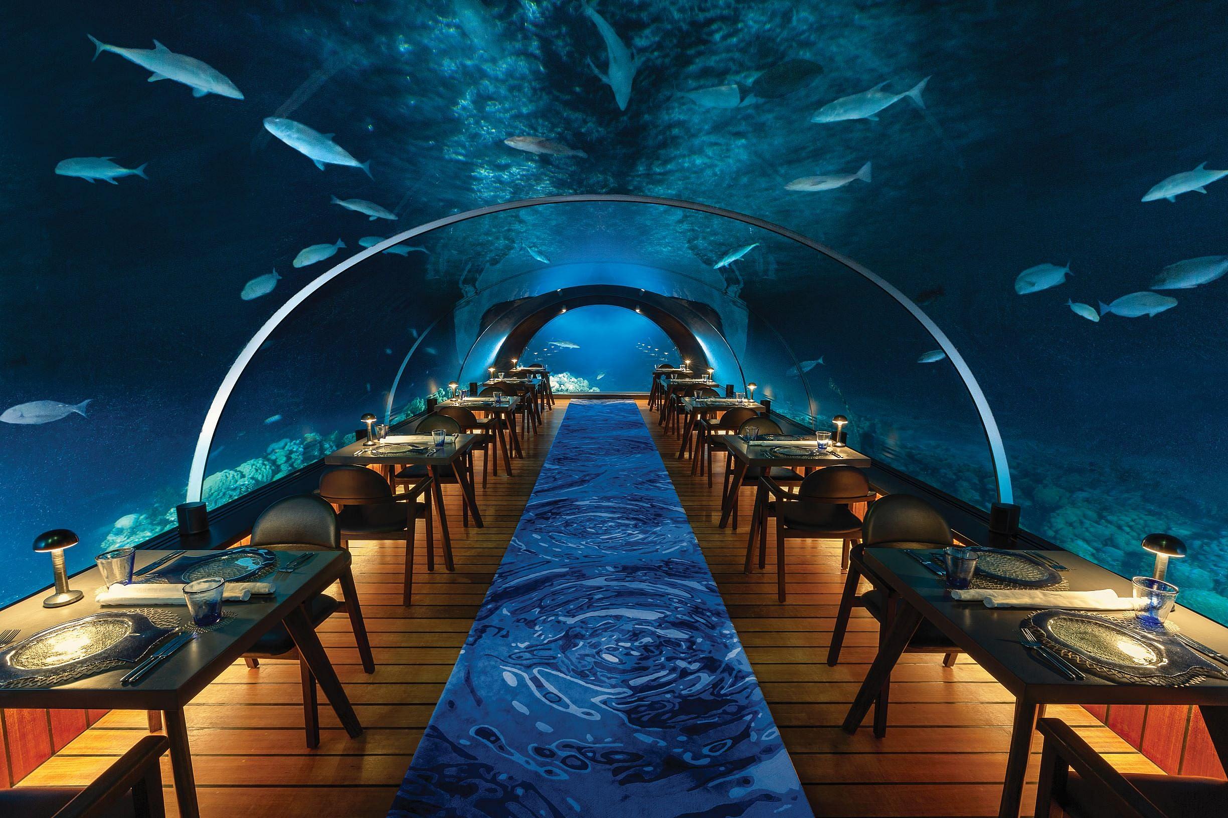 Maldives (5)