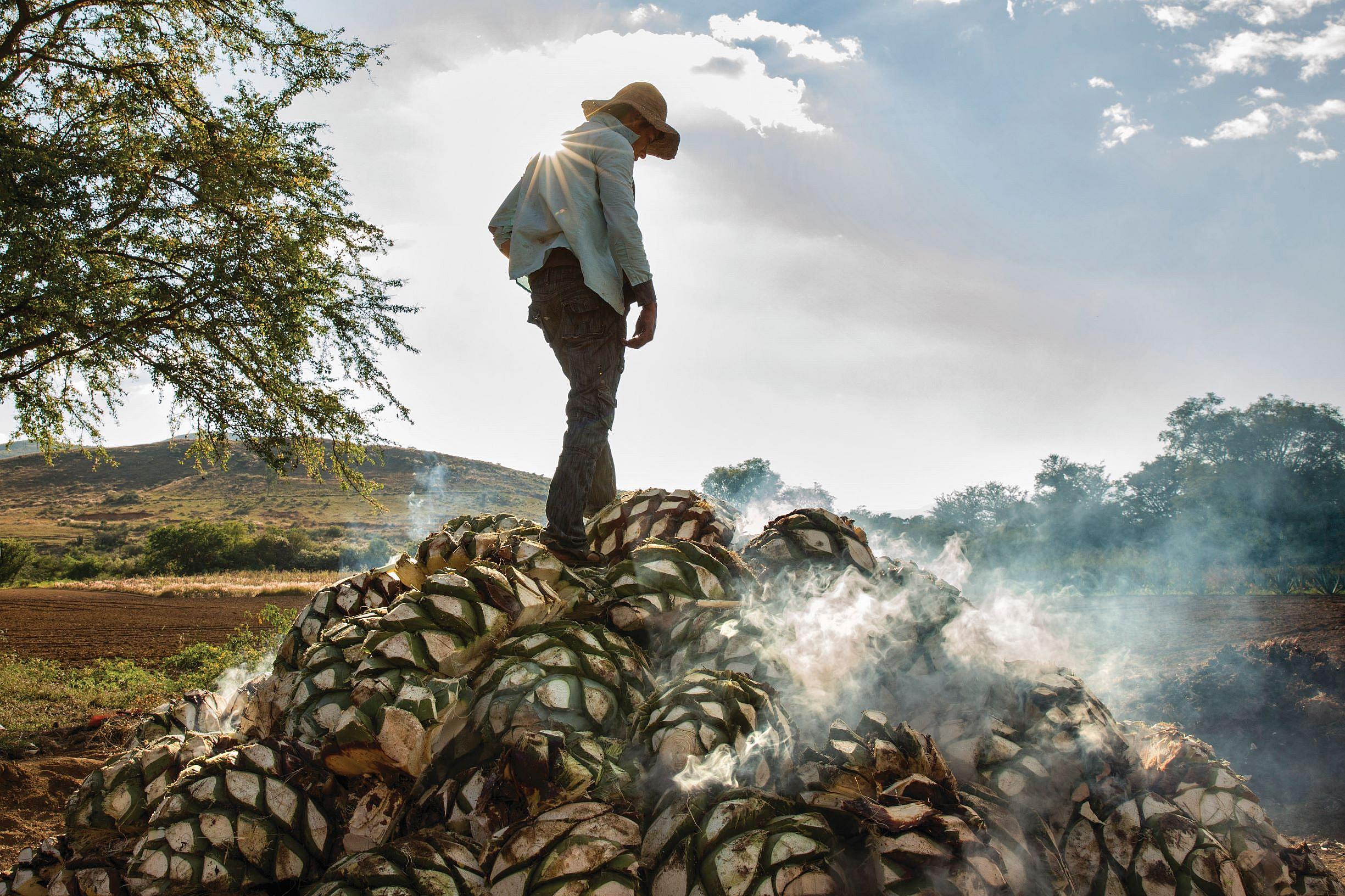 Mezcal (11)