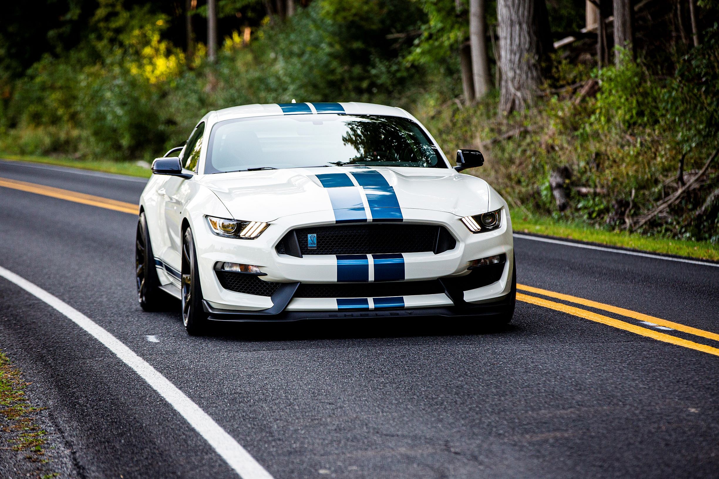2020 Ford Mustang Shelby GT350 Heritage Edition Package (3)