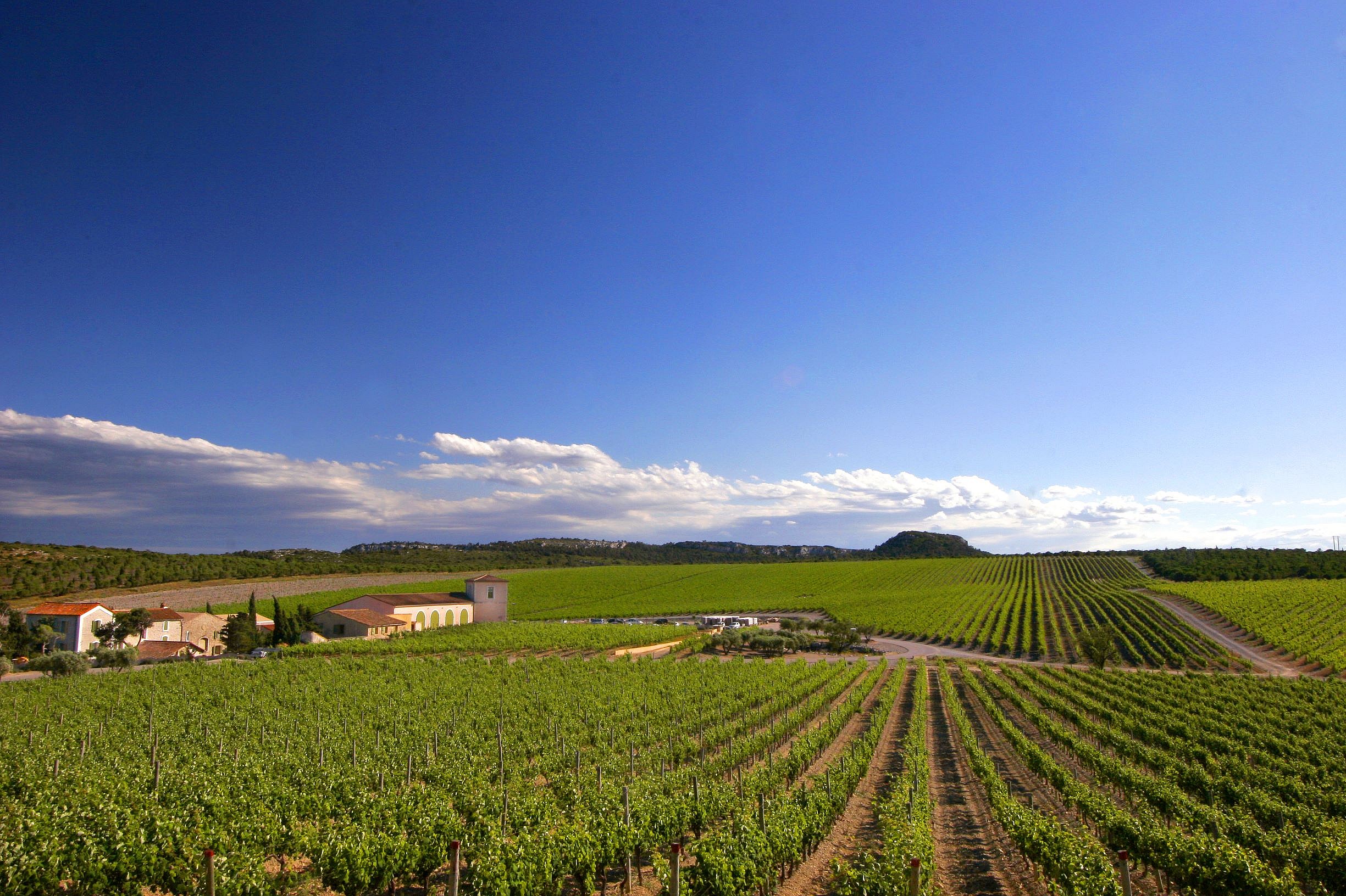 Chateau L’Hospitalet (10)