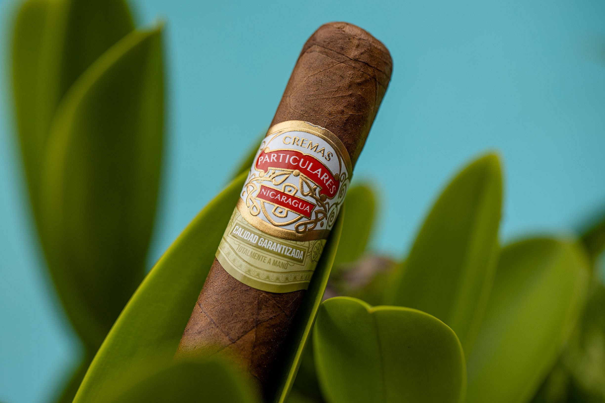 Sindicato Particulares