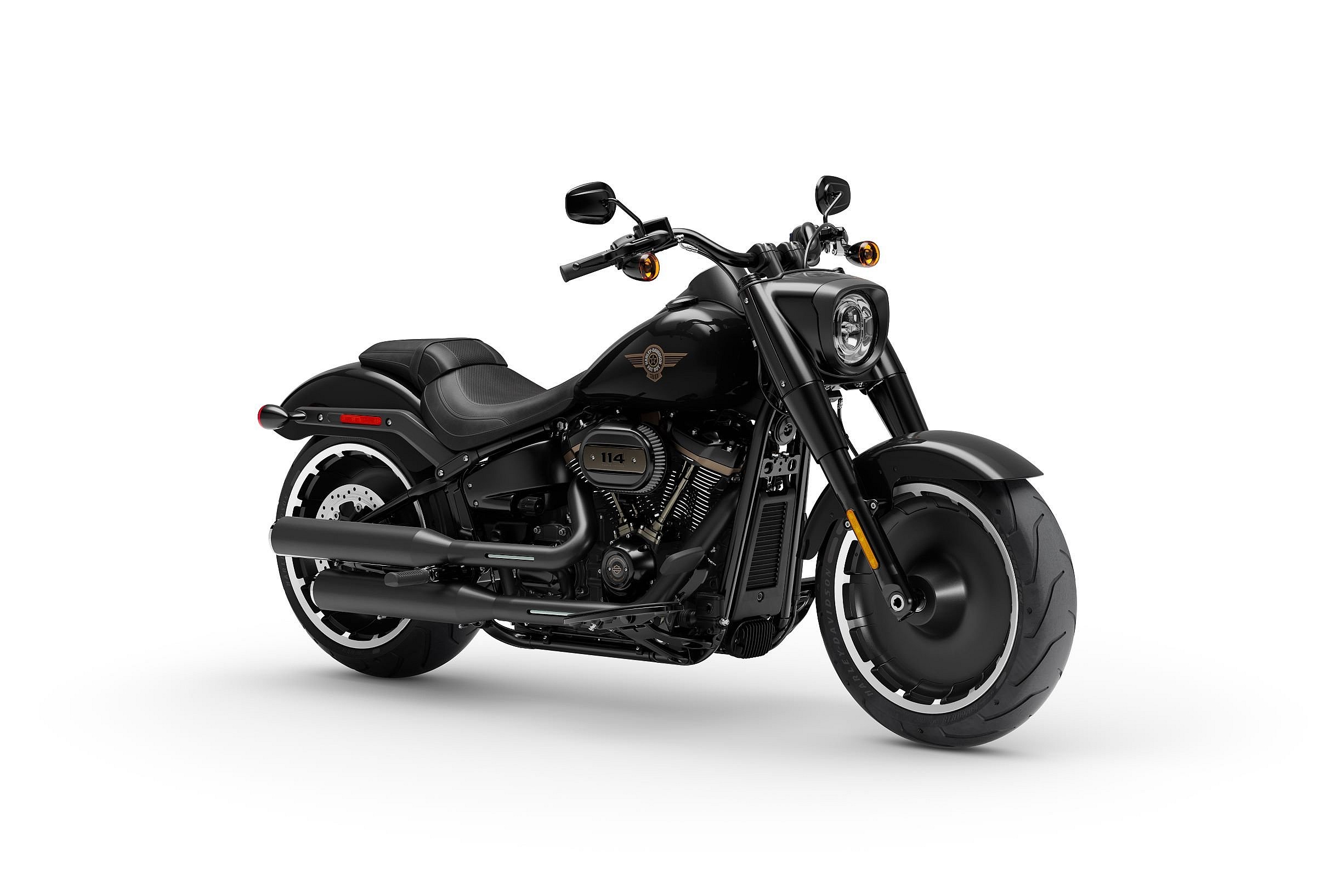 Harley-Davidson Fat Boy 30th Anniversary  (7)