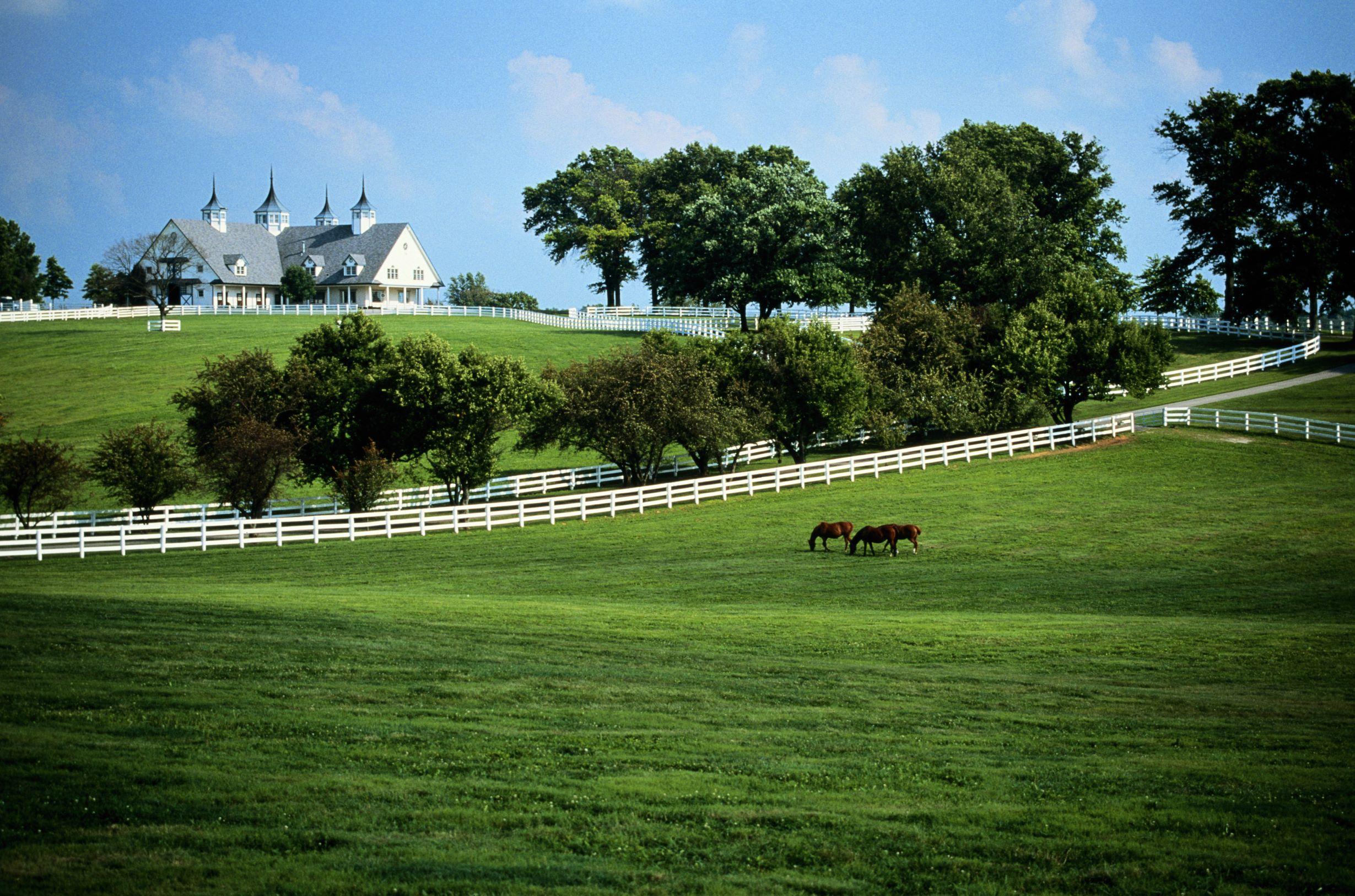 Kentucky, Lexington, horse farm