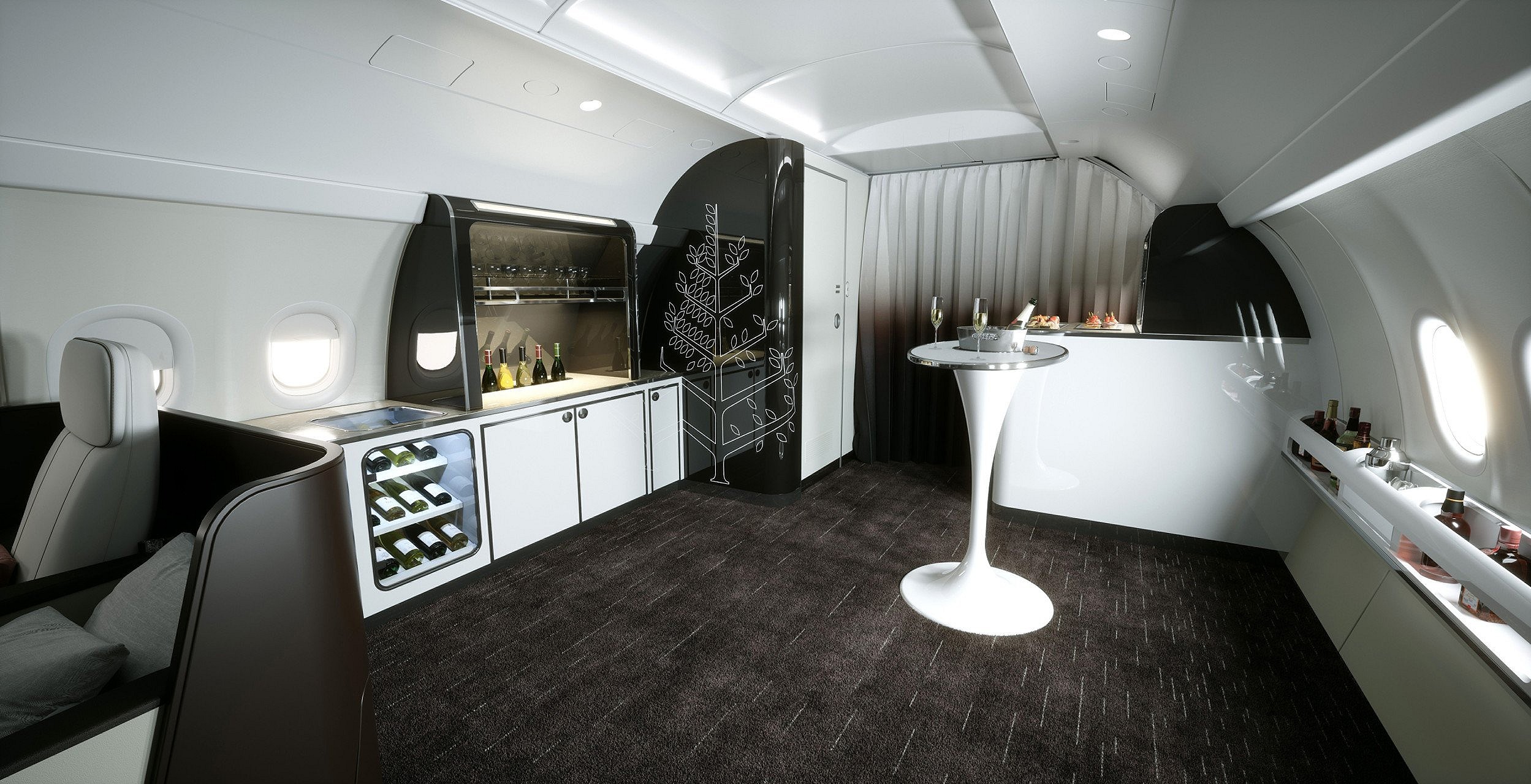 Four Seasons Private Jet  (3)