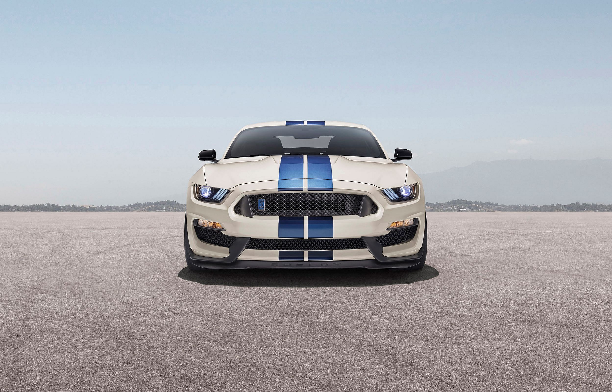 2020 Ford Mustang Shelby GT350 Heritage Edition Package  (7)