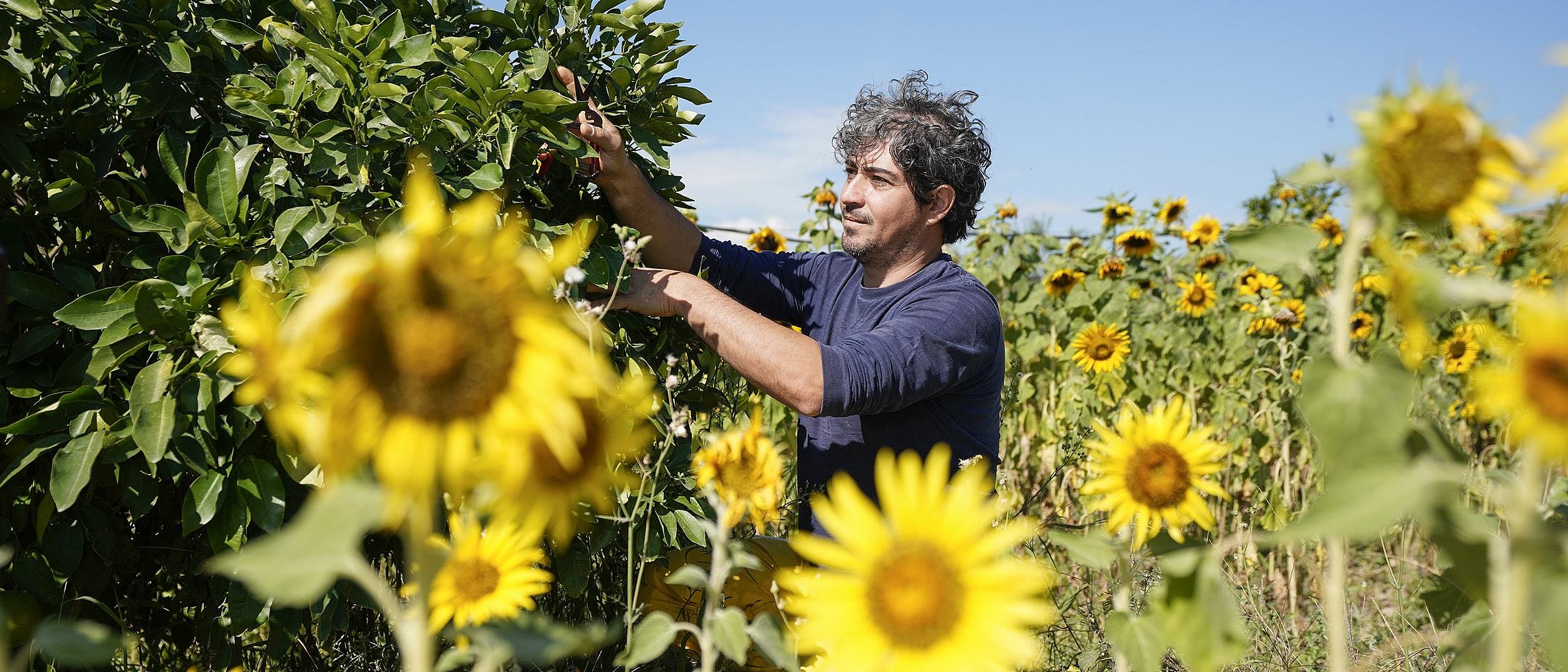 apply-sabbatical-italy