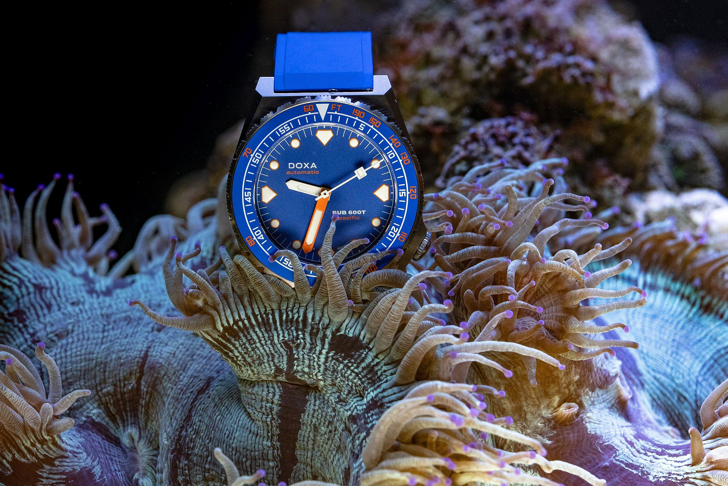 Doxa Sub 600T Pacific (2)