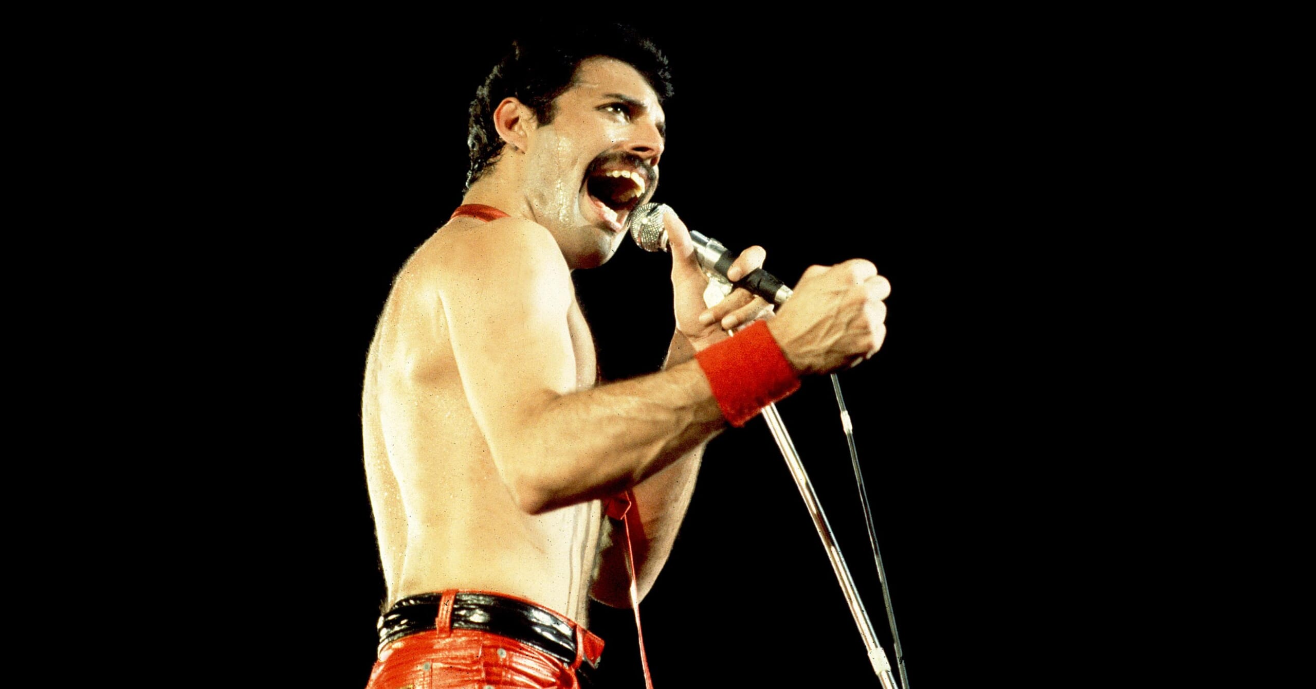 Freddy Mercury Promo Queen