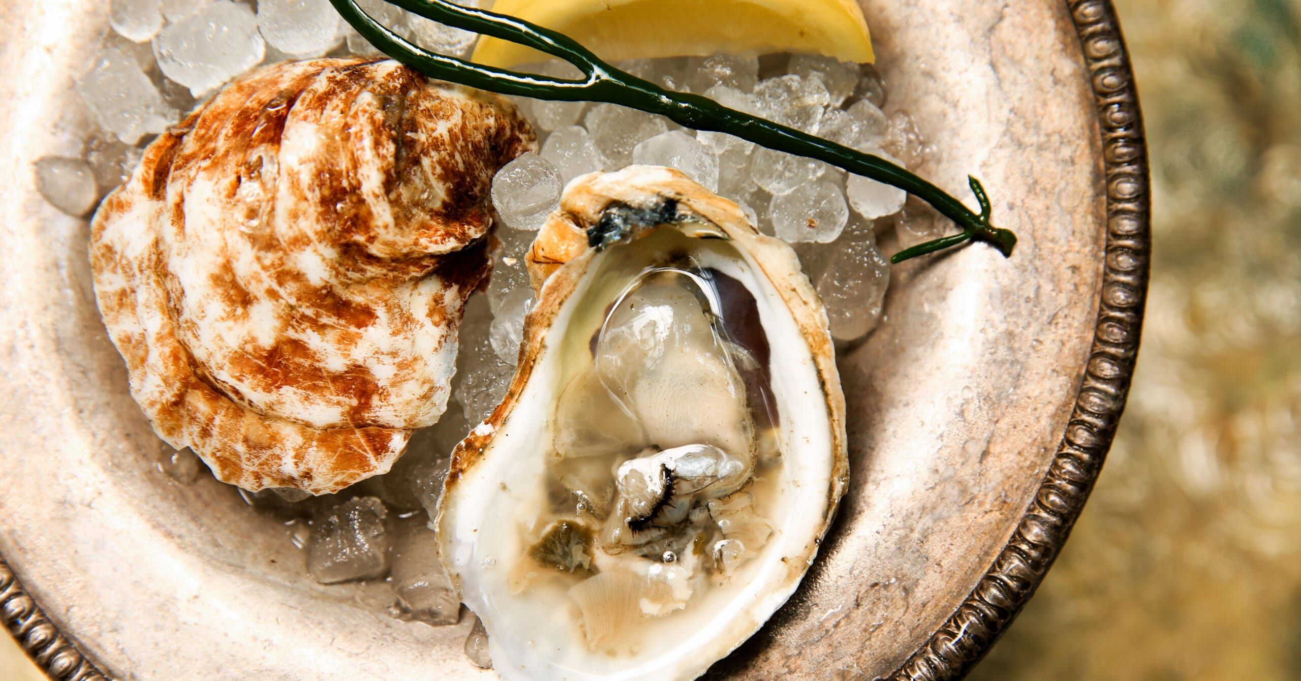 oyster promo