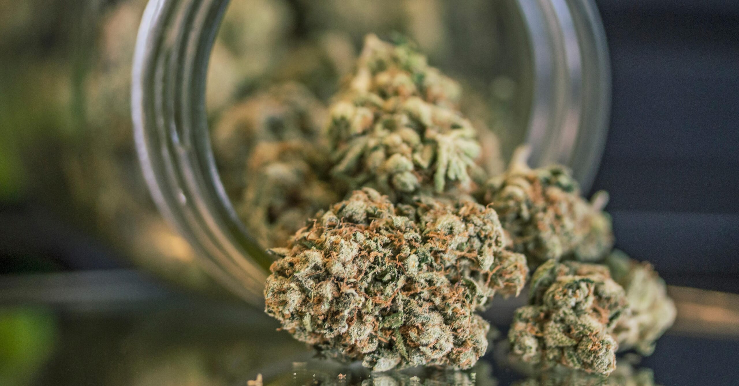 Weed Promo